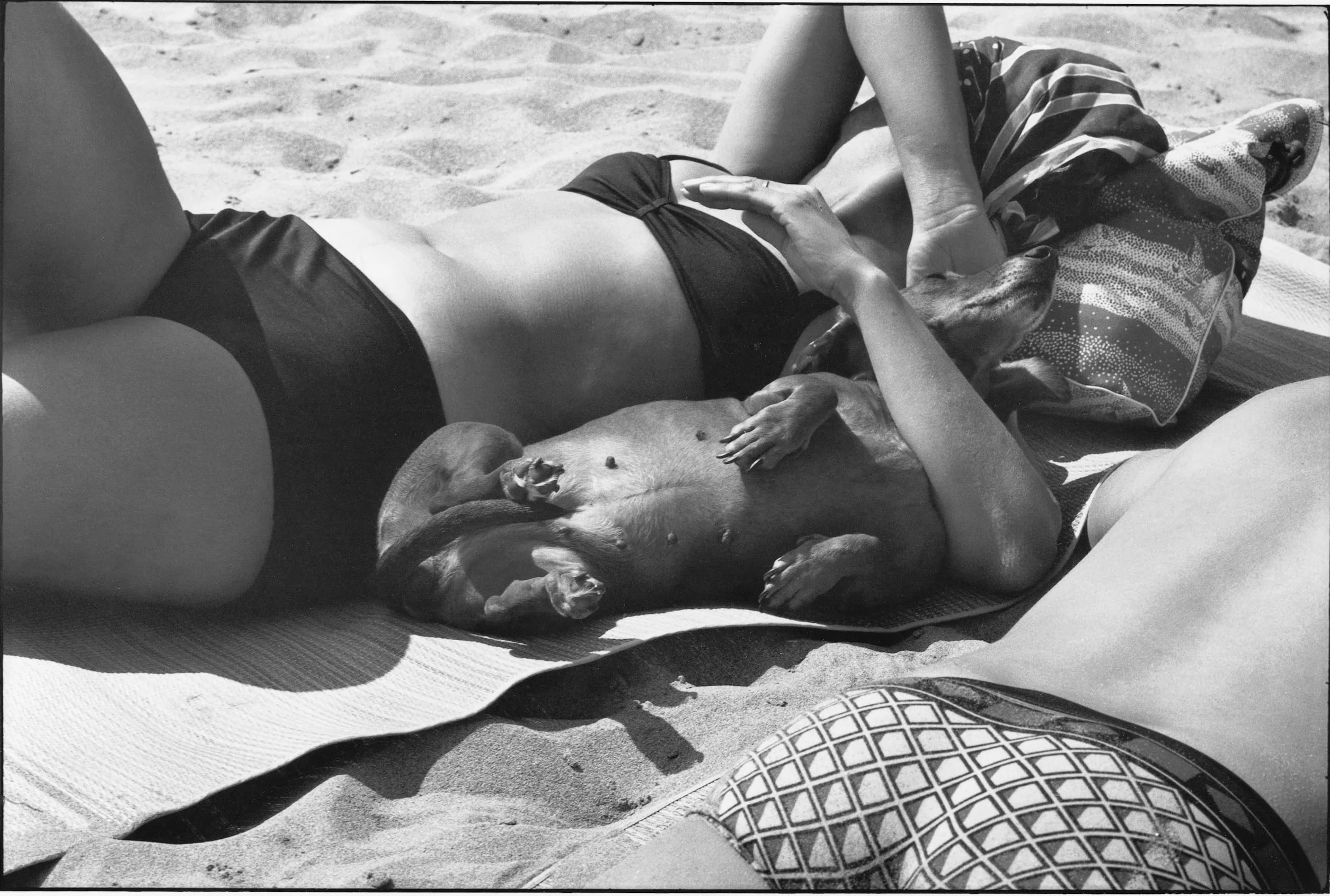 Elliott Erwitt Personal Best: tN4t