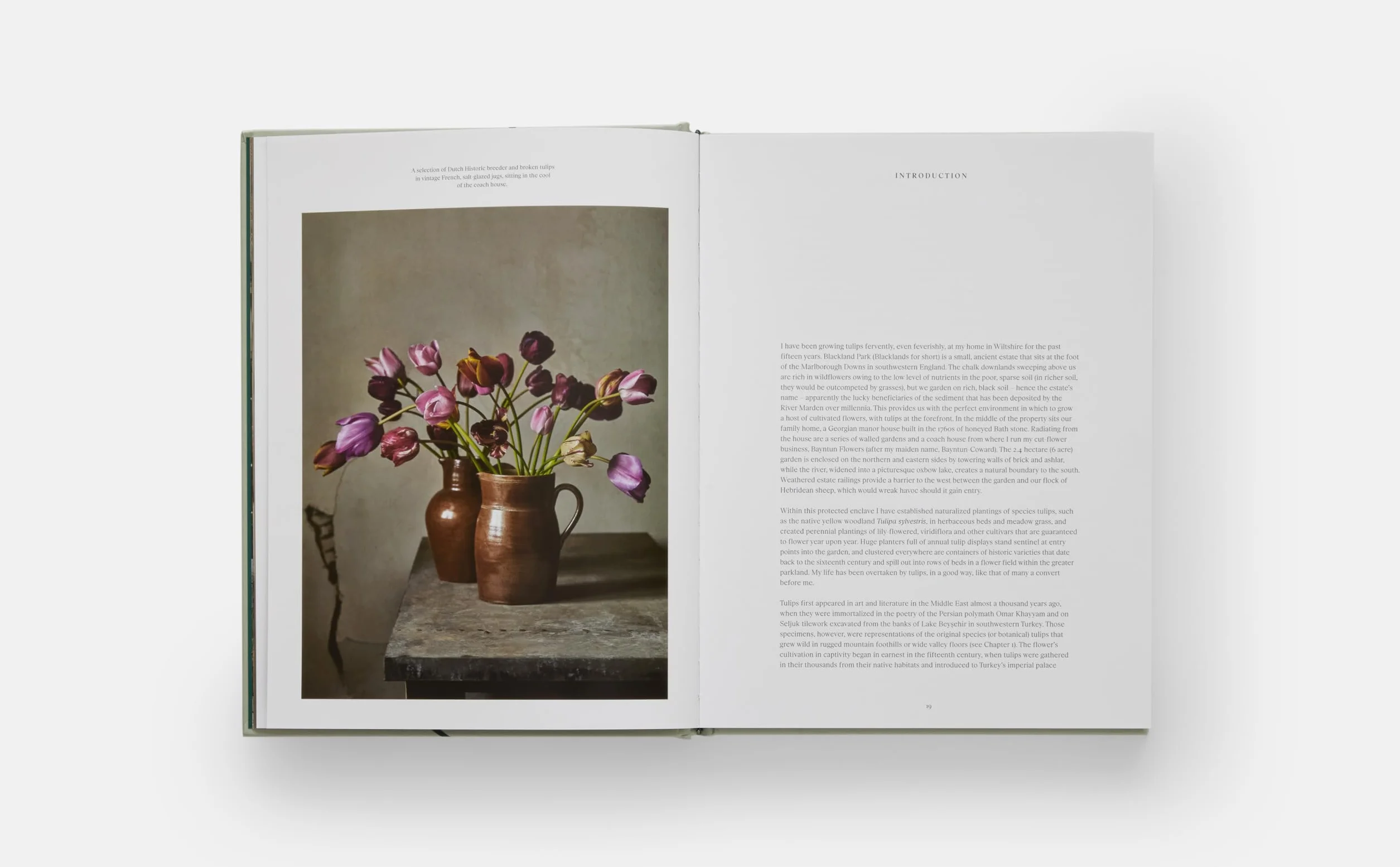 The Tulip Garden: Growing and Collecting Species, Rare and Annual Varieties