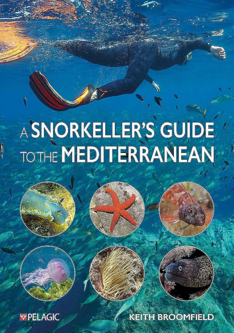 A Snorkeller's Guide to the Mediterranean: A Photographic Id Guide to the Most Commonly Encountered Marine Species