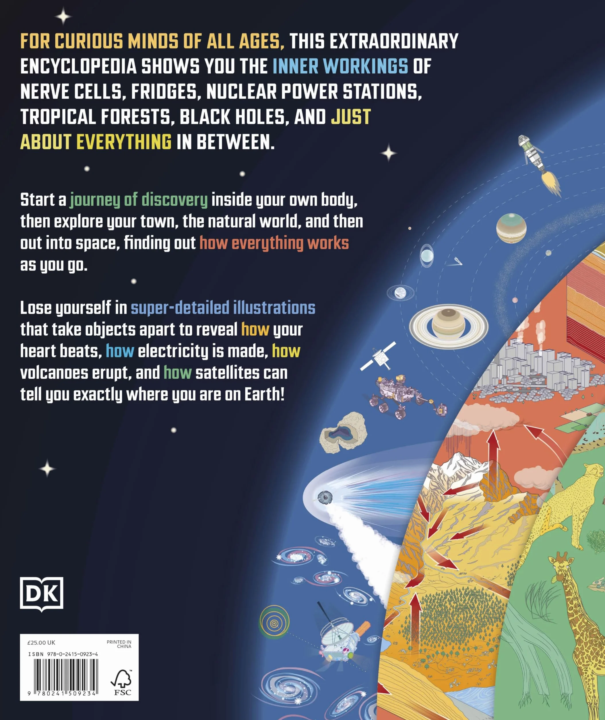 How Everything Works: From Brain Cells to Black Holes