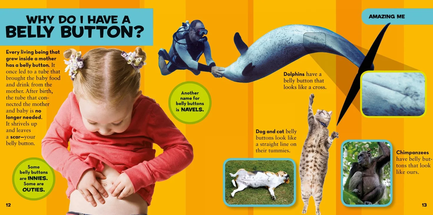 Little Kids First Big Book of Why: Questions and Answers About the World for Curious Kids