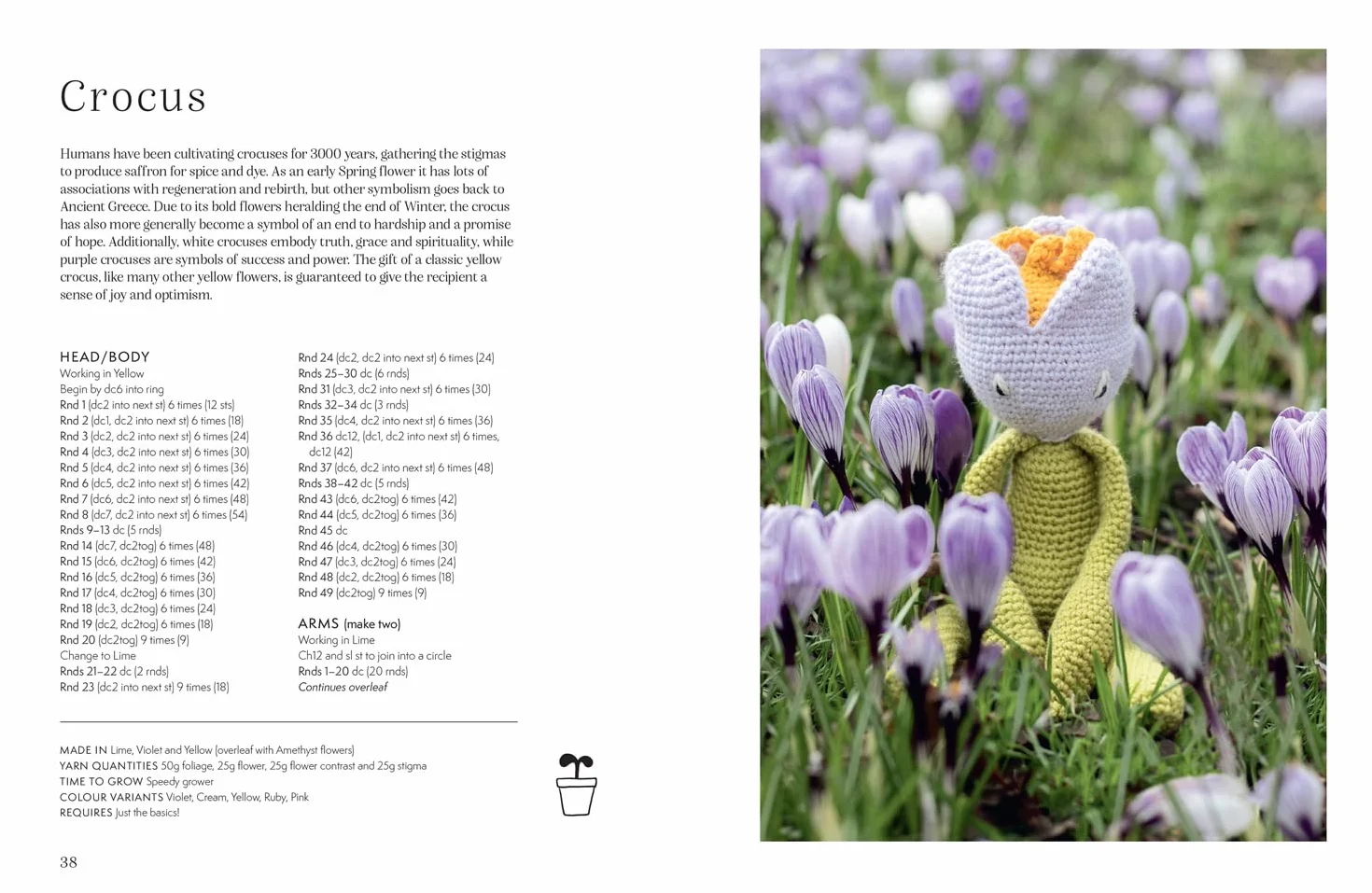 Alexandra's Garden Flowers: The new craft book from TOFT with 30 stunning crochet patterns for any ability