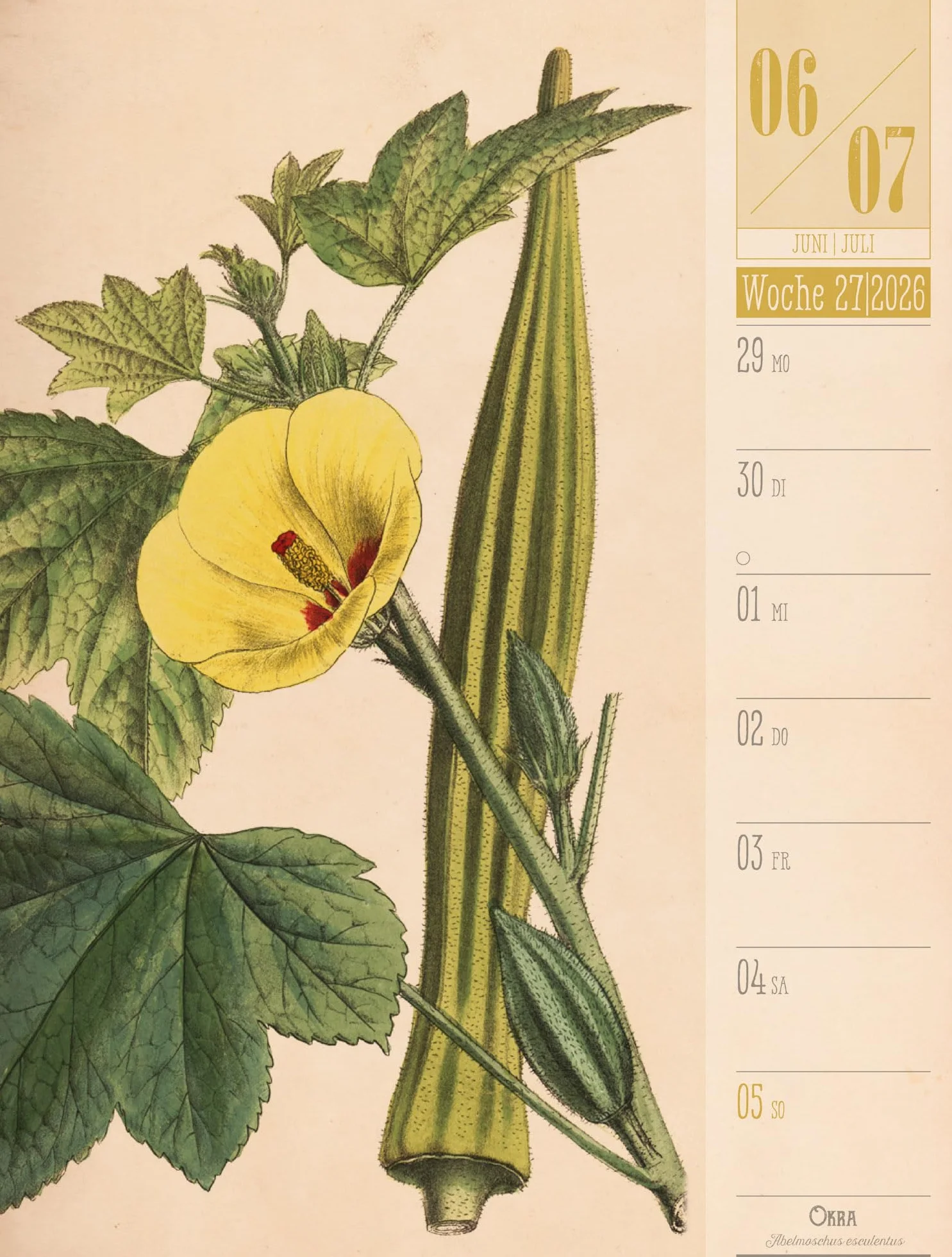 Culinarium Wochenplaner Kalender 2026 | Küche, Kräuter, Kurioses: Informativer Küchen-Wochenkalender im Hochformat (25x33 cm) | Vintage & Retro