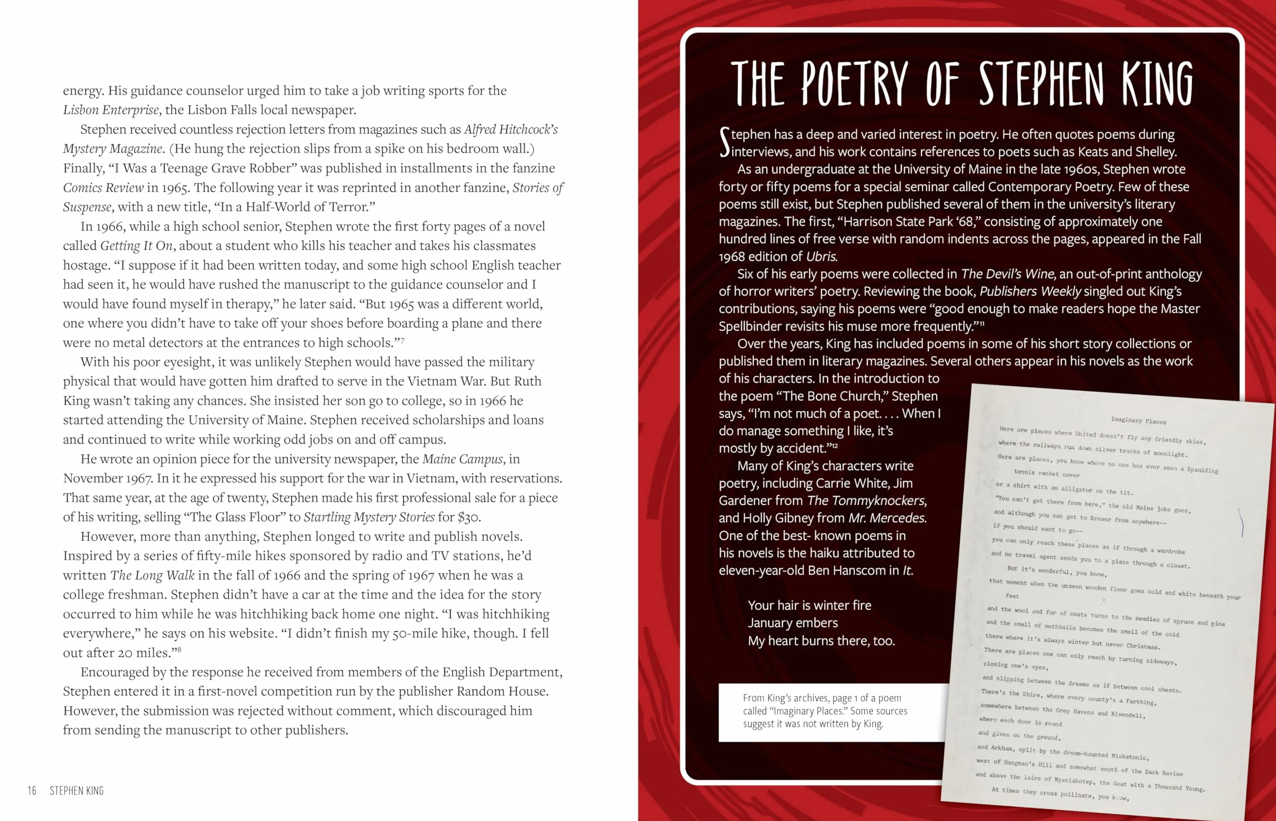 Stephen King: His Life, Work, and Influences (Young Readers' Edition)