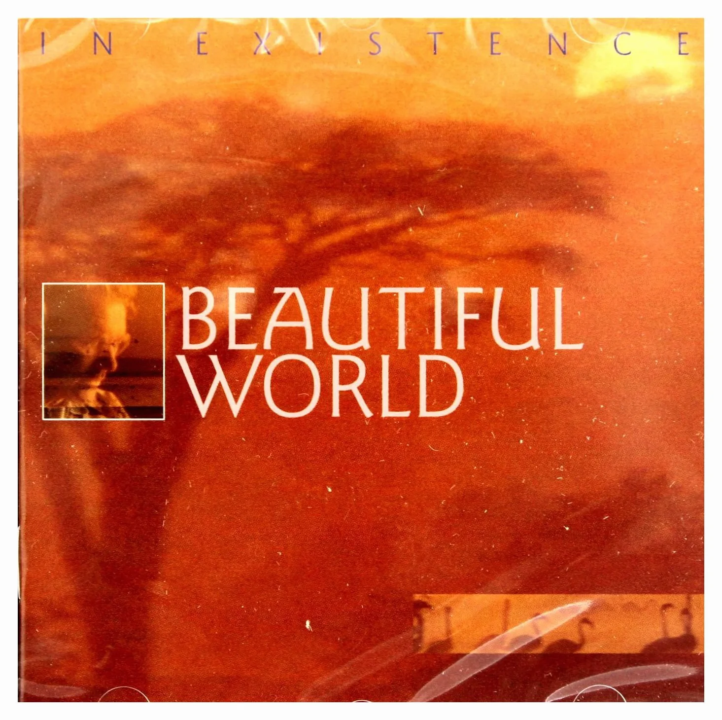 Beautiful World - In Existence