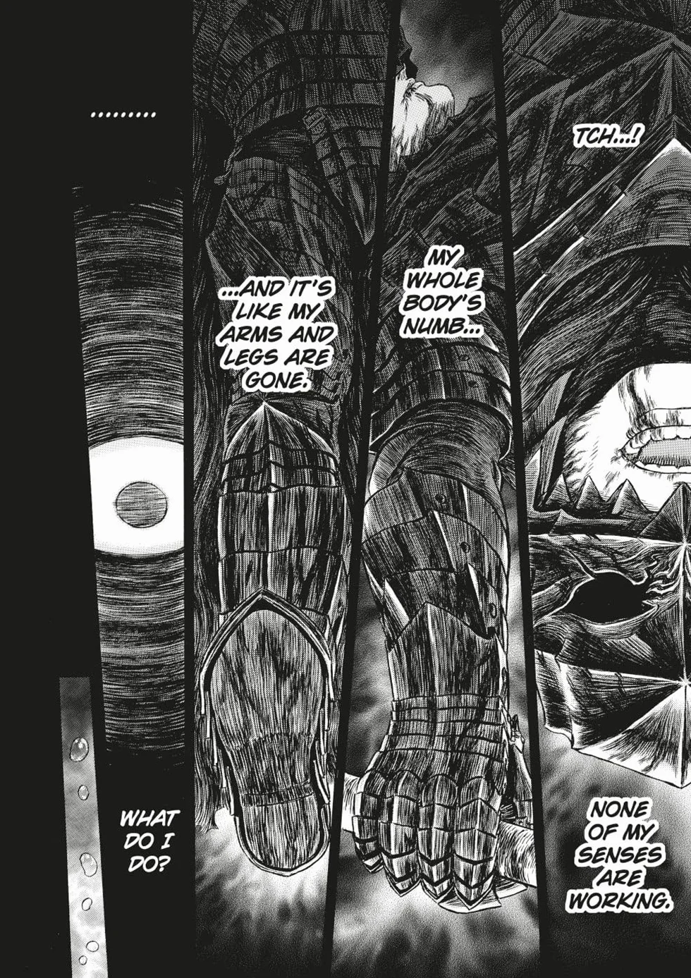 Berserk Deluxe Edition Volume 13: Collects Berserk Volume 37, 38, and 39.