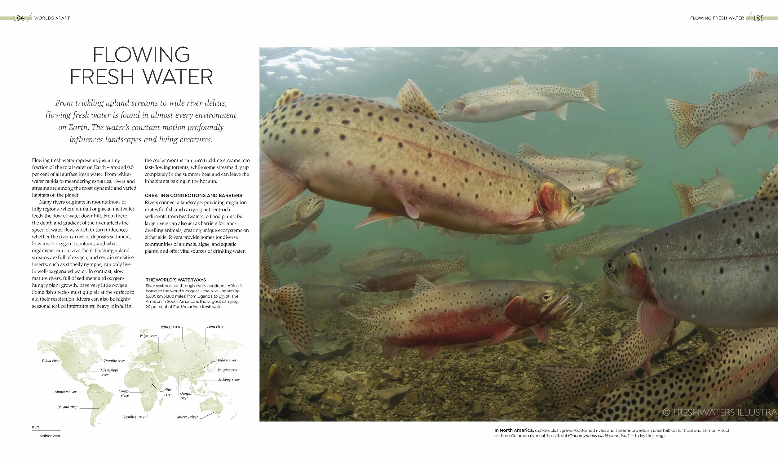 Habitats: Discover Earth's Precious Wild Places