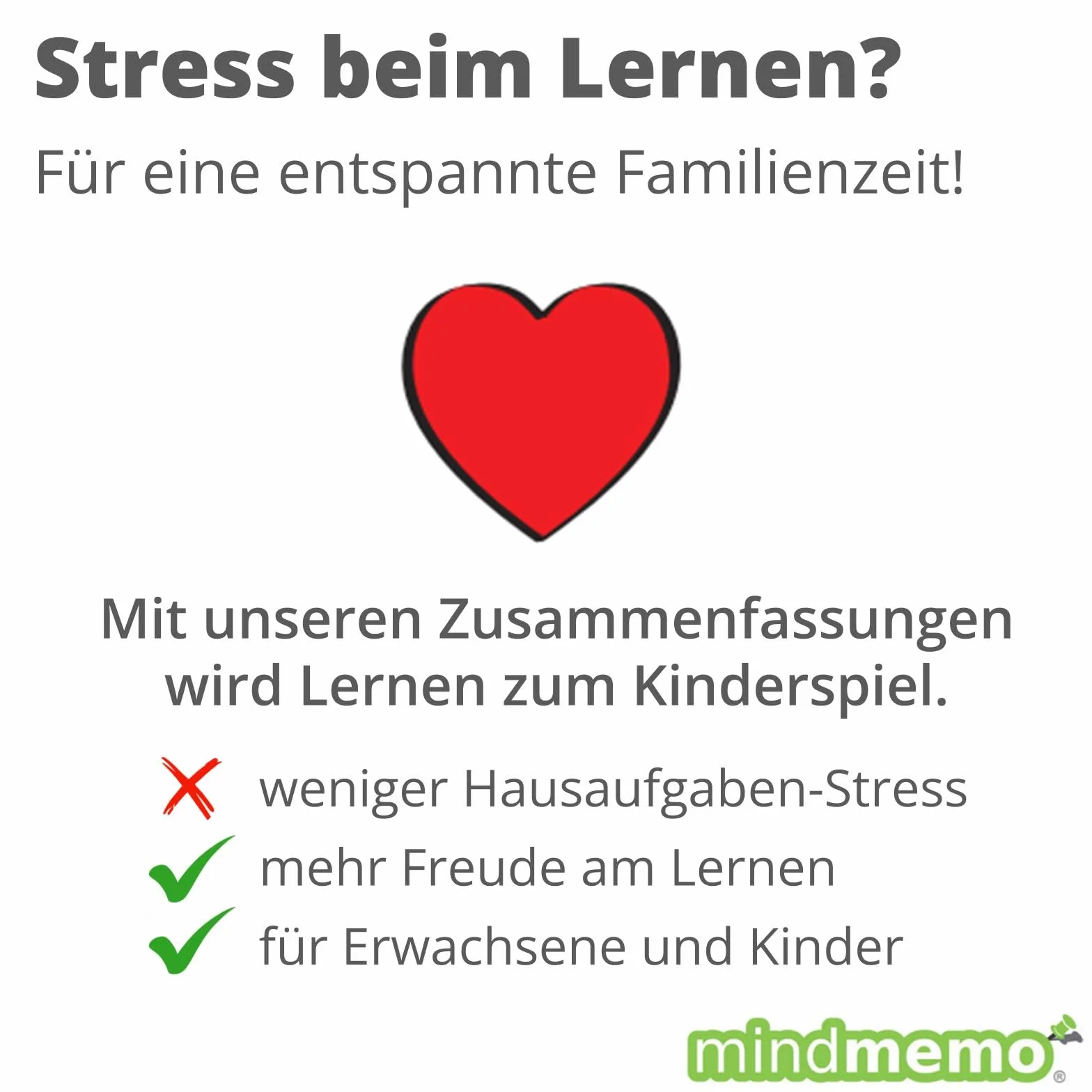 mindmemo Lernfolder - First Steps - Englisch für Einsteiger - Vokabeln lernen mit Bildern - Zusammenfassung: genial-einfache Lernhilfe - ... foliert DIN A4 6 Seiten + Abhefter