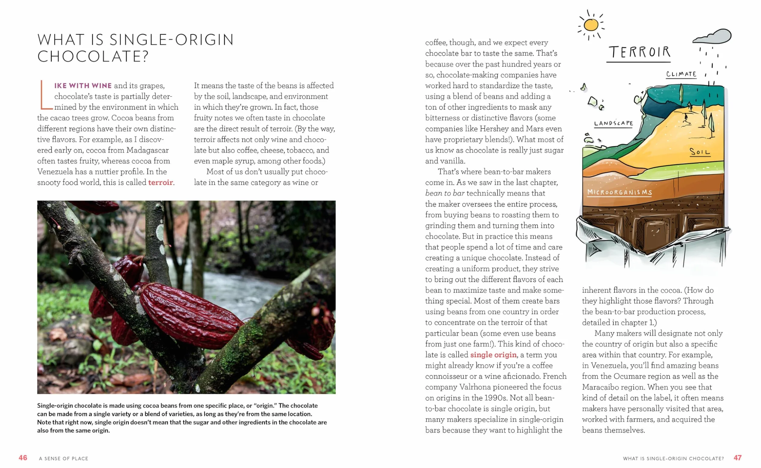 Bean-To-Bar Chocolate: America's Craft Chocolate Revolution: The Origins, the Makers, and the Mind-Blowing Flavors