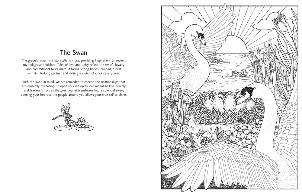 Mystic Animals: Colour Your Spiritual Guides