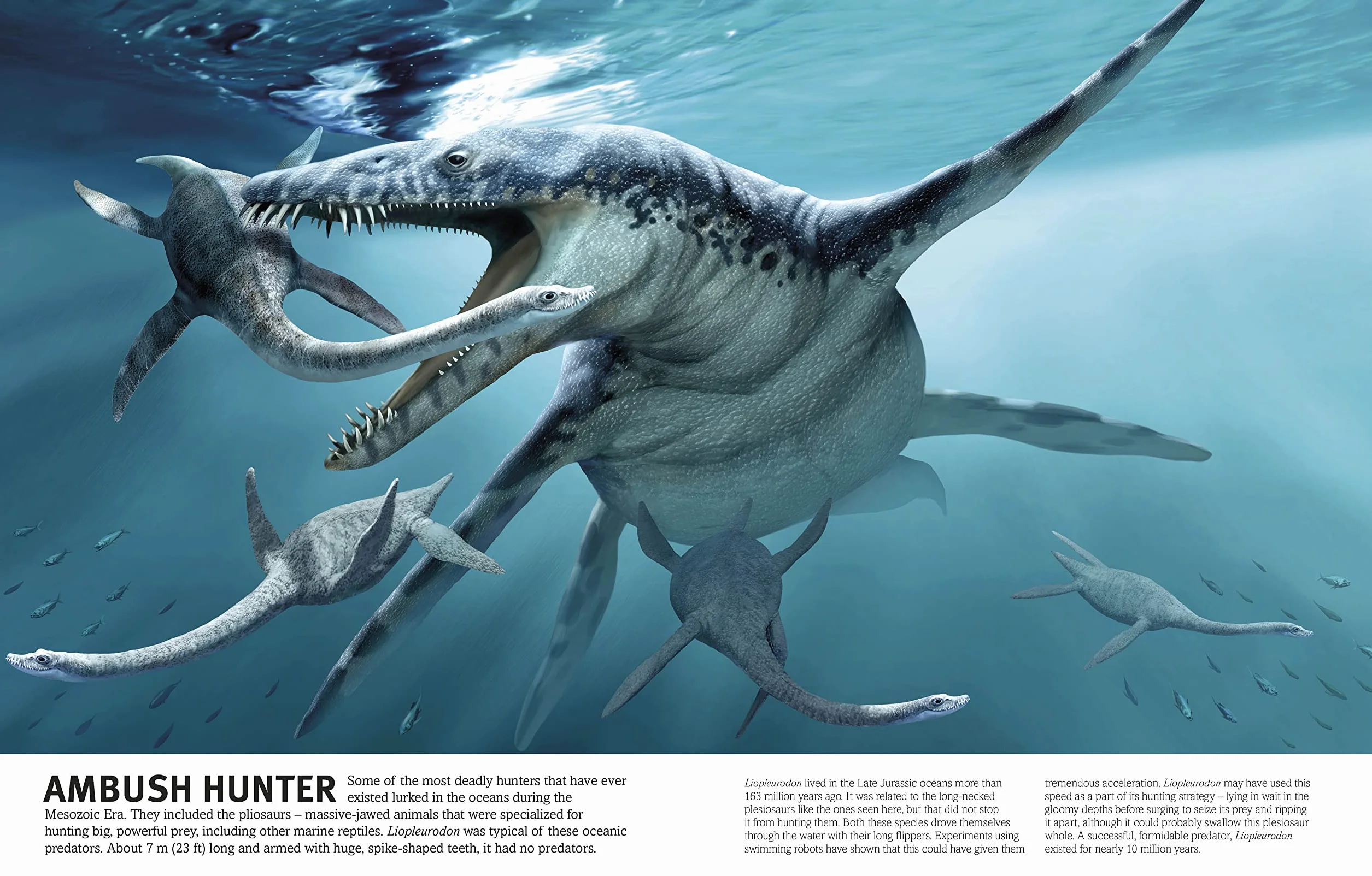 The Dinosaurs Book: Our World in Pictures