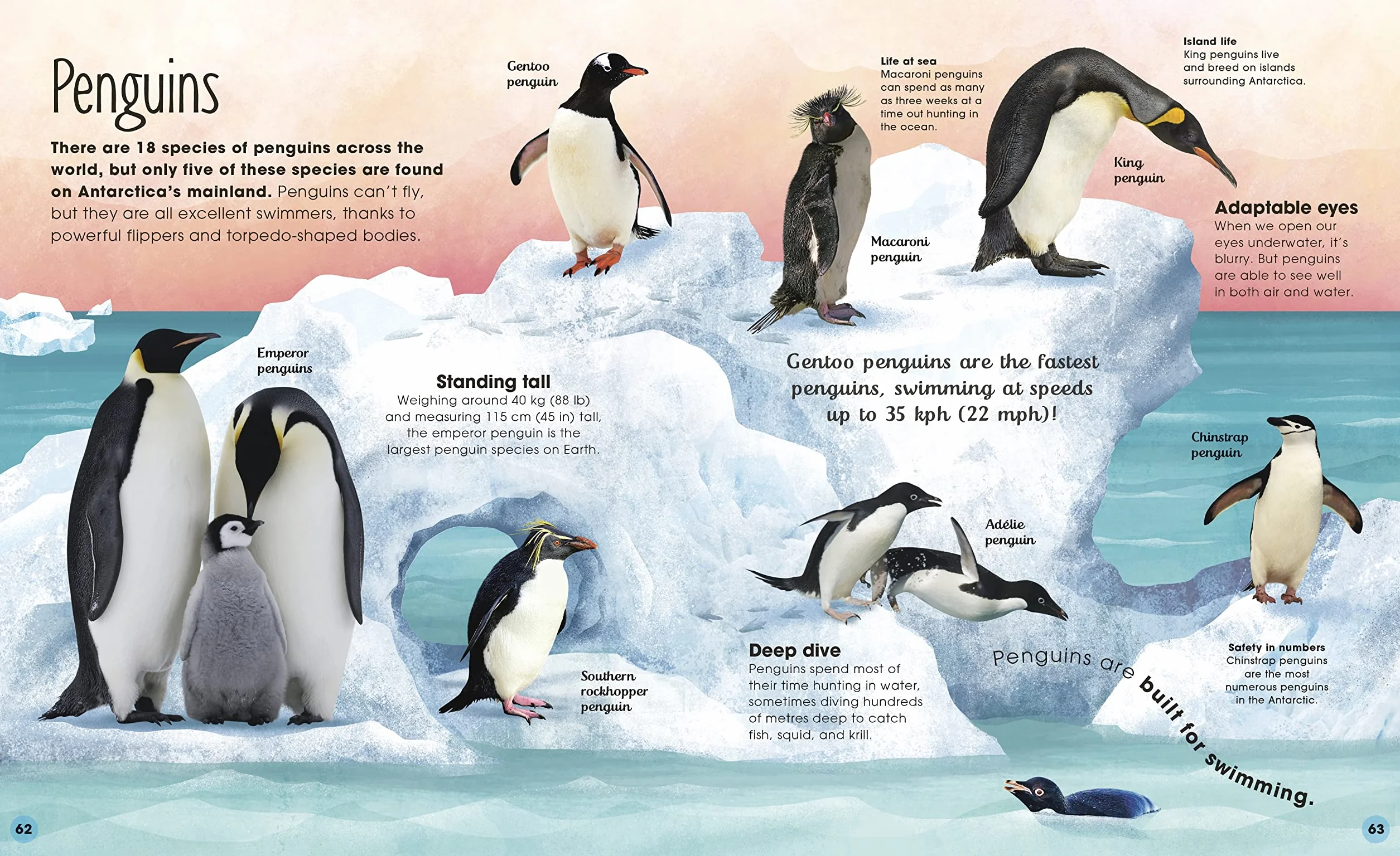 The Frozen Worlds: The Astonishing Nature of the Arctic and Antarctic