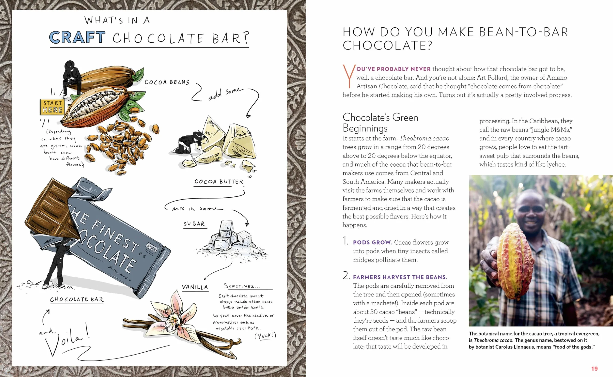 Bean-To-Bar Chocolate: America's Craft Chocolate Revolution: The Origins, the Makers, and the Mind-Blowing Flavors