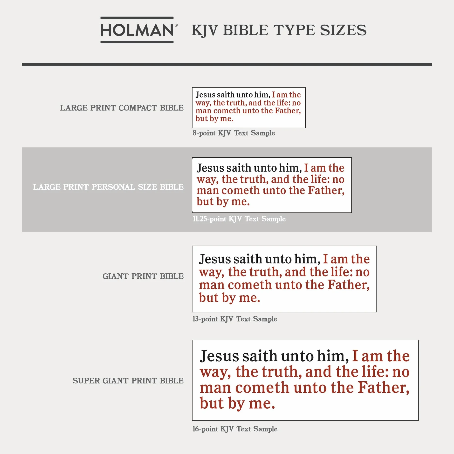 KJV Large Print Personal Size Reference Bible, Charcoal Leathertouch