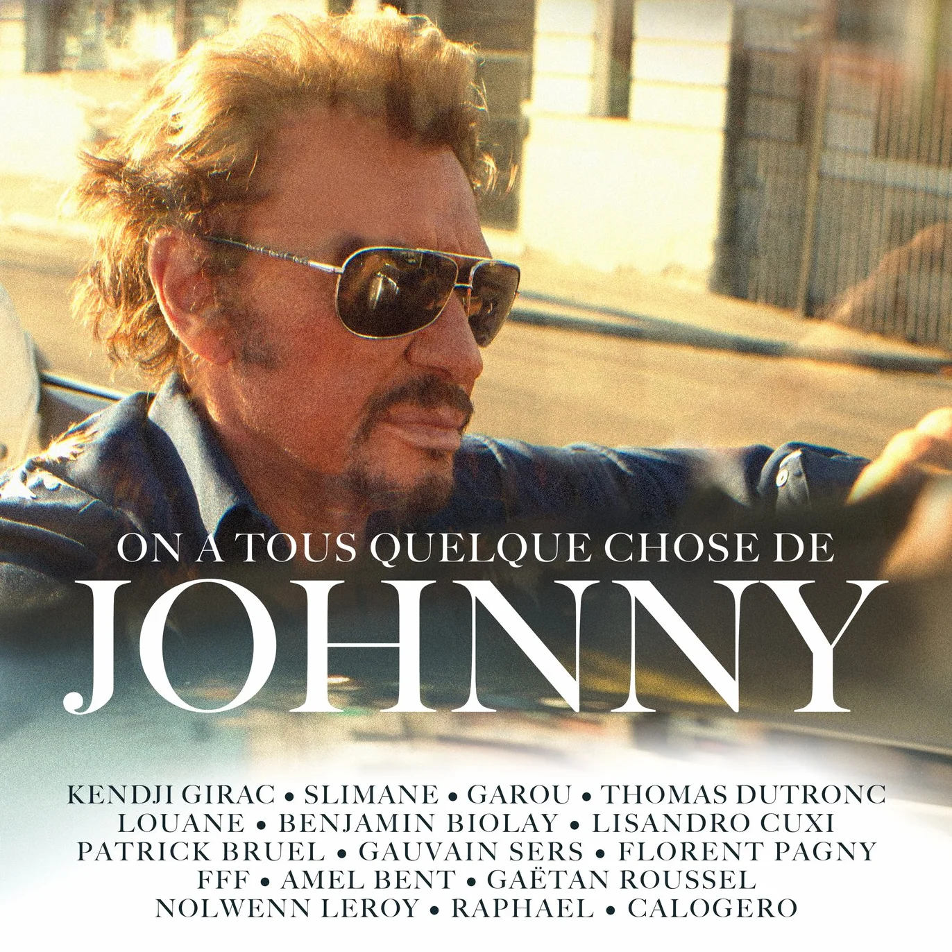 On A Tous Quelque Chose De Johnny