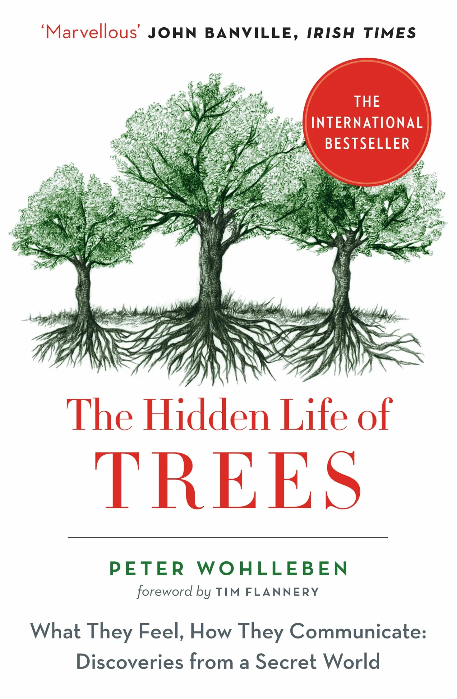 The Hidden Life of Trees: The International Bestseller