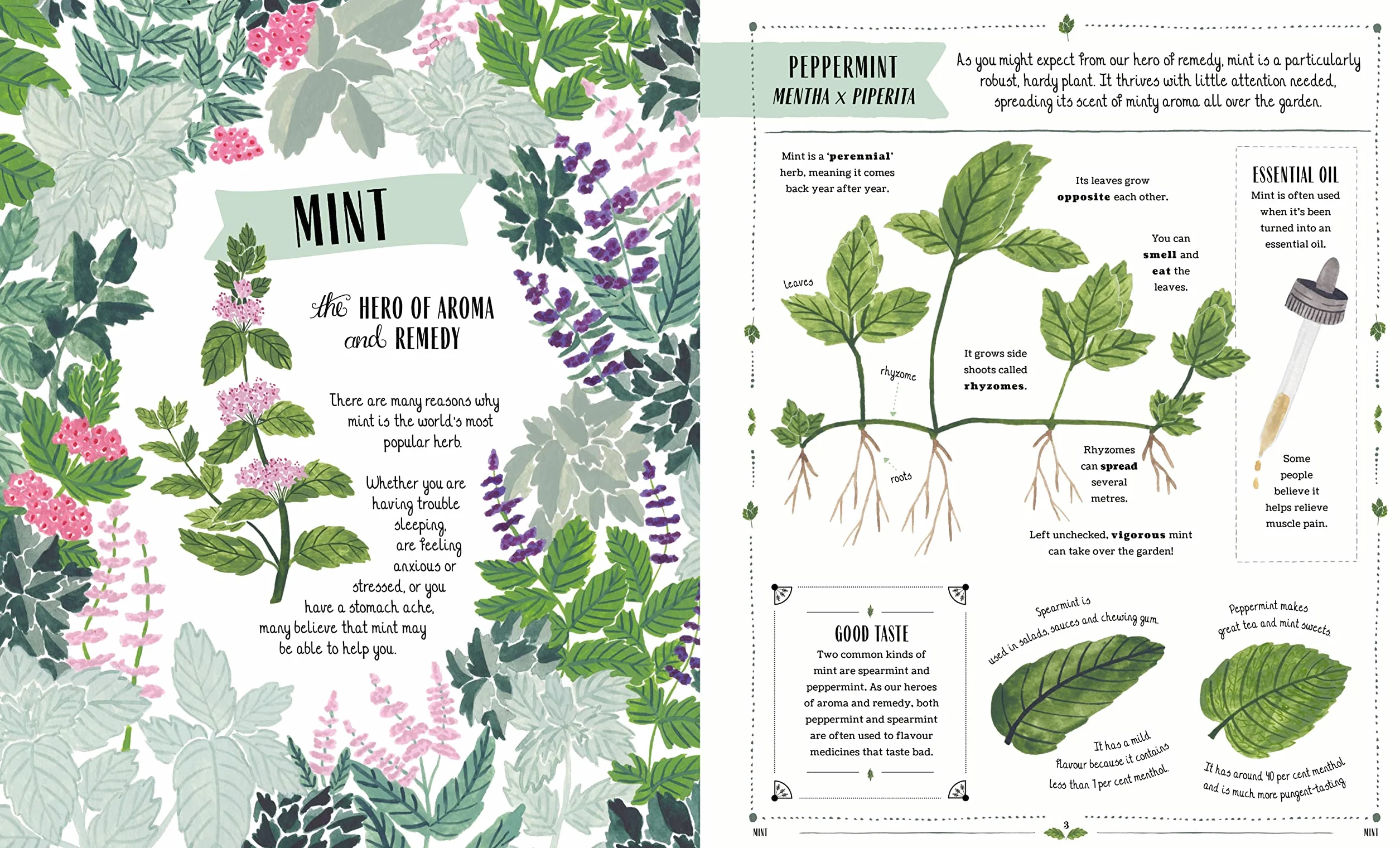 Grow: A first guide to plants and how to grow them