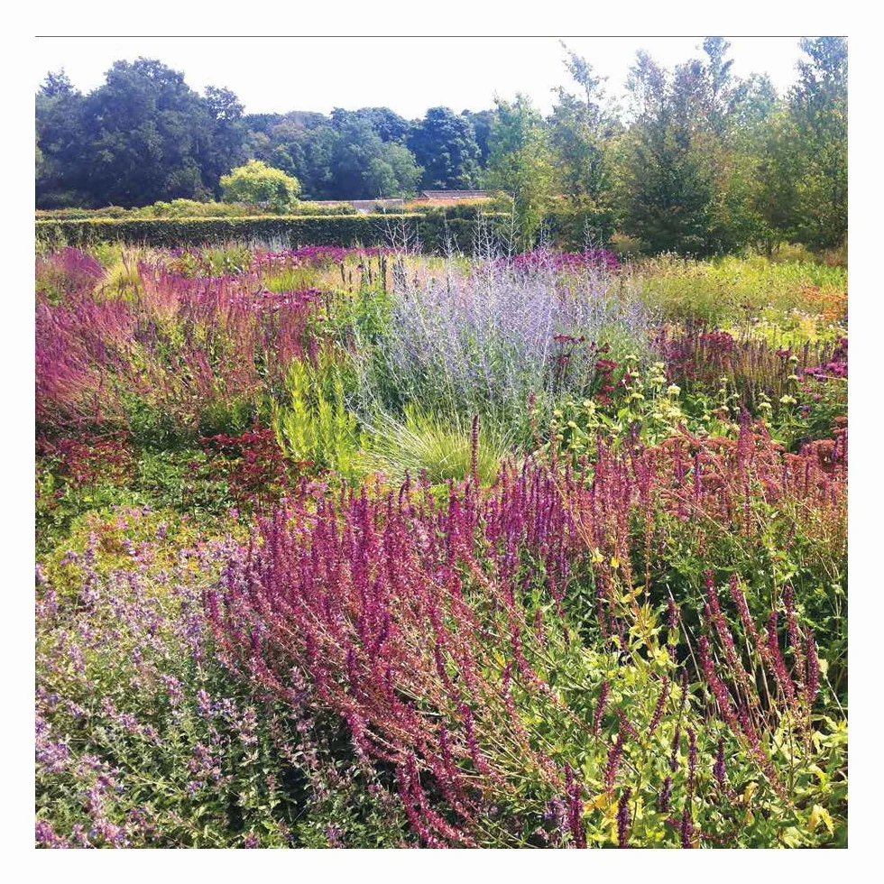 Aesthetics Of Contemporary Planting Design /anglais