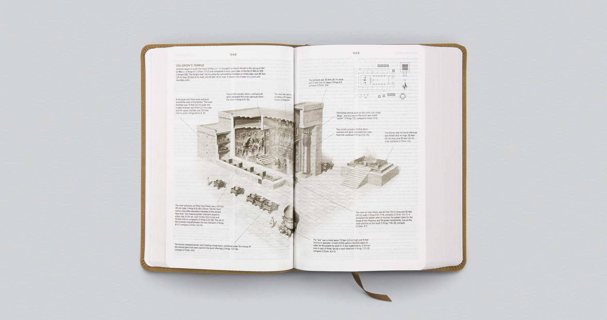 ESV Student Study Bible (Trutone, Nubuck Caramel, Wildflower Design): English Standard Version, Nubuck Caramel, Trutone, Wildflower Design, Student Study Bible With Ribbon Marker