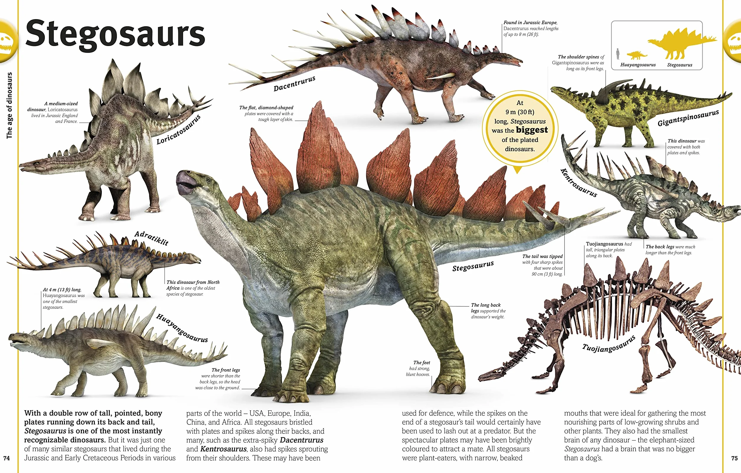 The Dinosaurs Book: Our World in Pictures