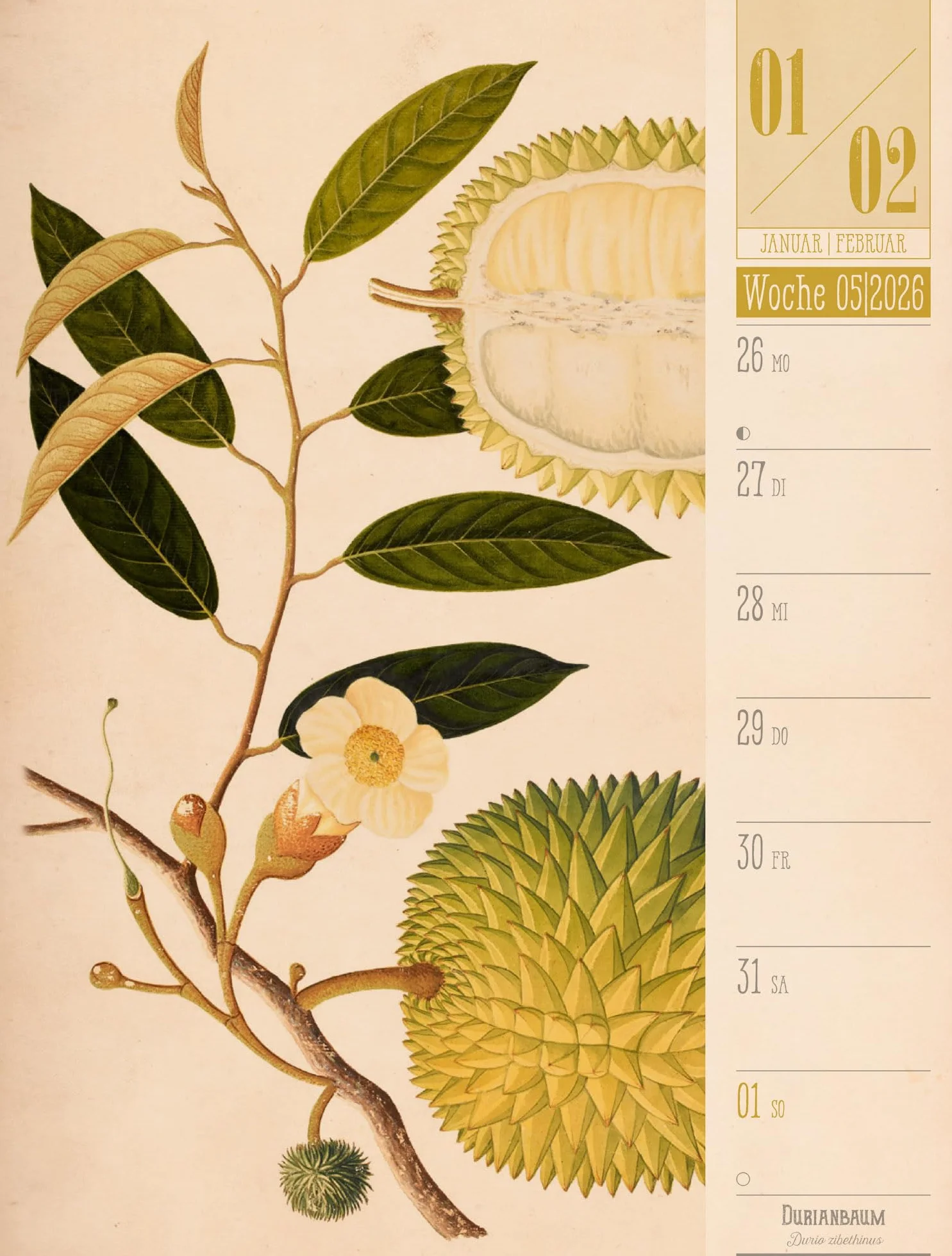 Culinarium Wochenplaner Kalender 2026 | Küche, Kräuter, Kurioses: Informativer Küchen-Wochenkalender im Hochformat (25x33 cm) | Vintage & Retro