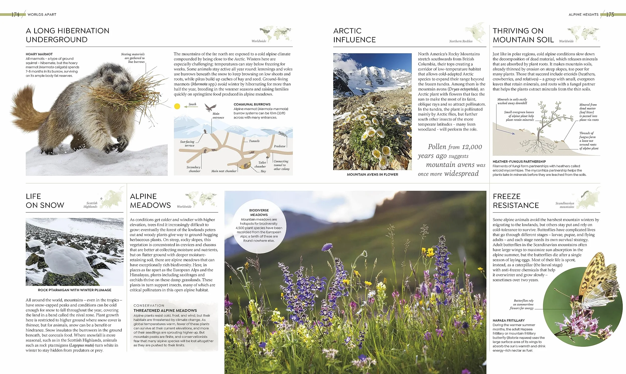 Habitats: Discover Earth's Precious Wild Places
