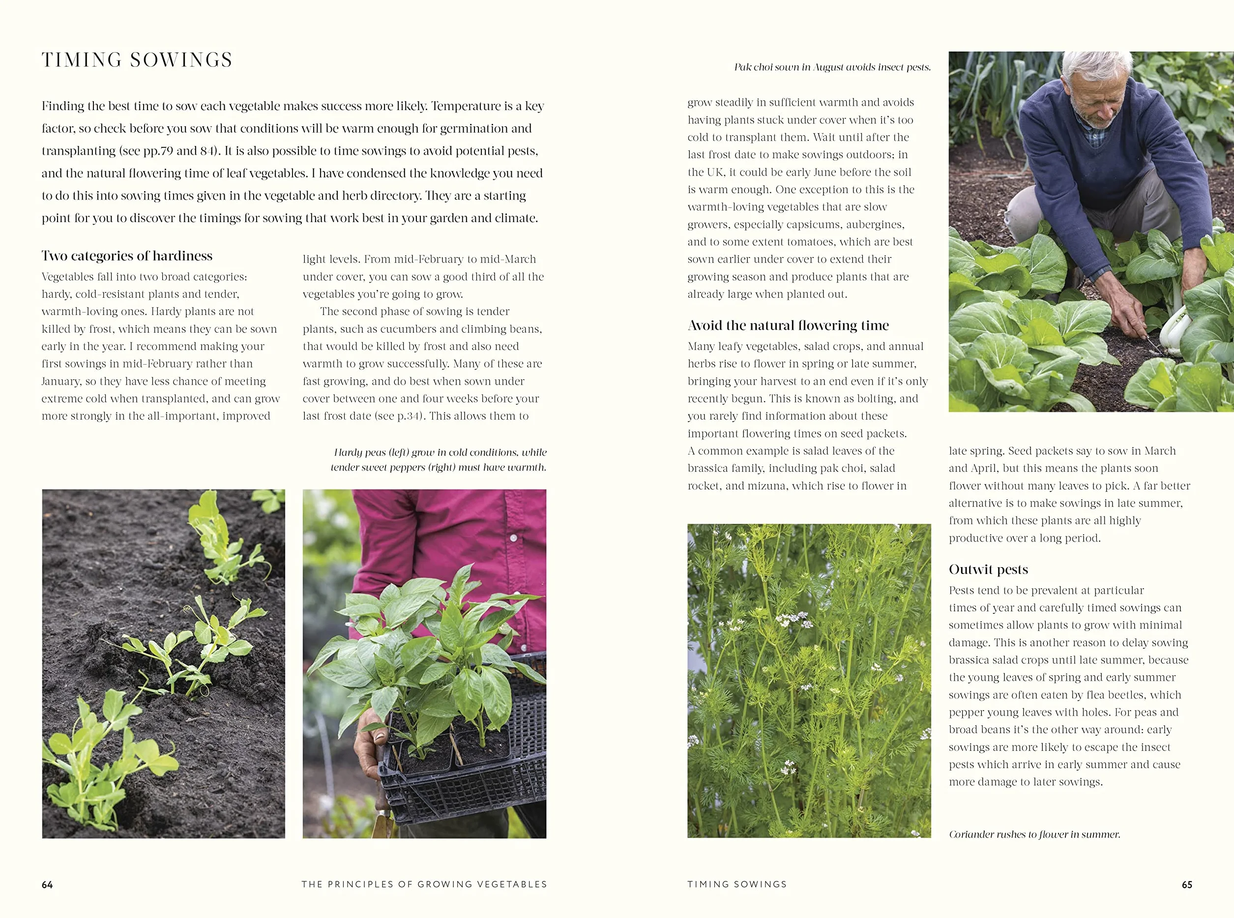 No Dig: Nurture your soil to grow better veg with less effort