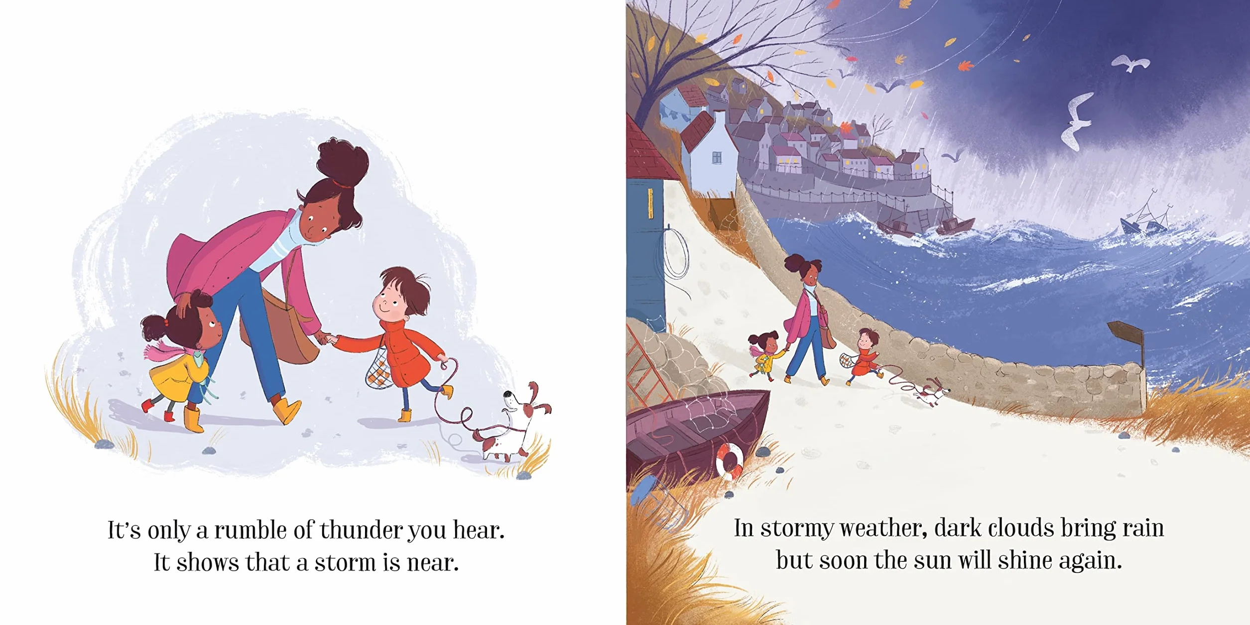 The Stormy Day (Little Board Books): 1