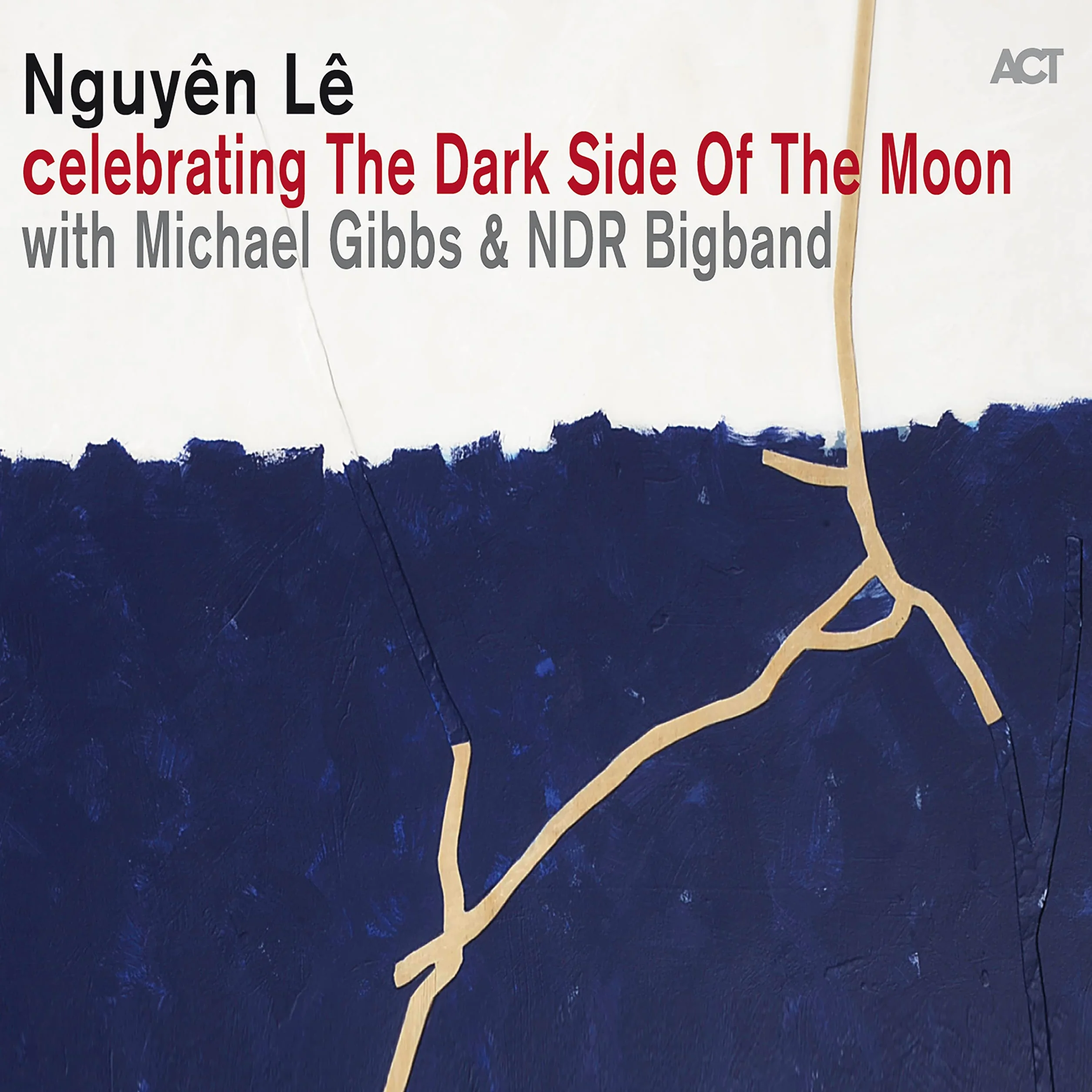 The Dark Side Of The Moon
