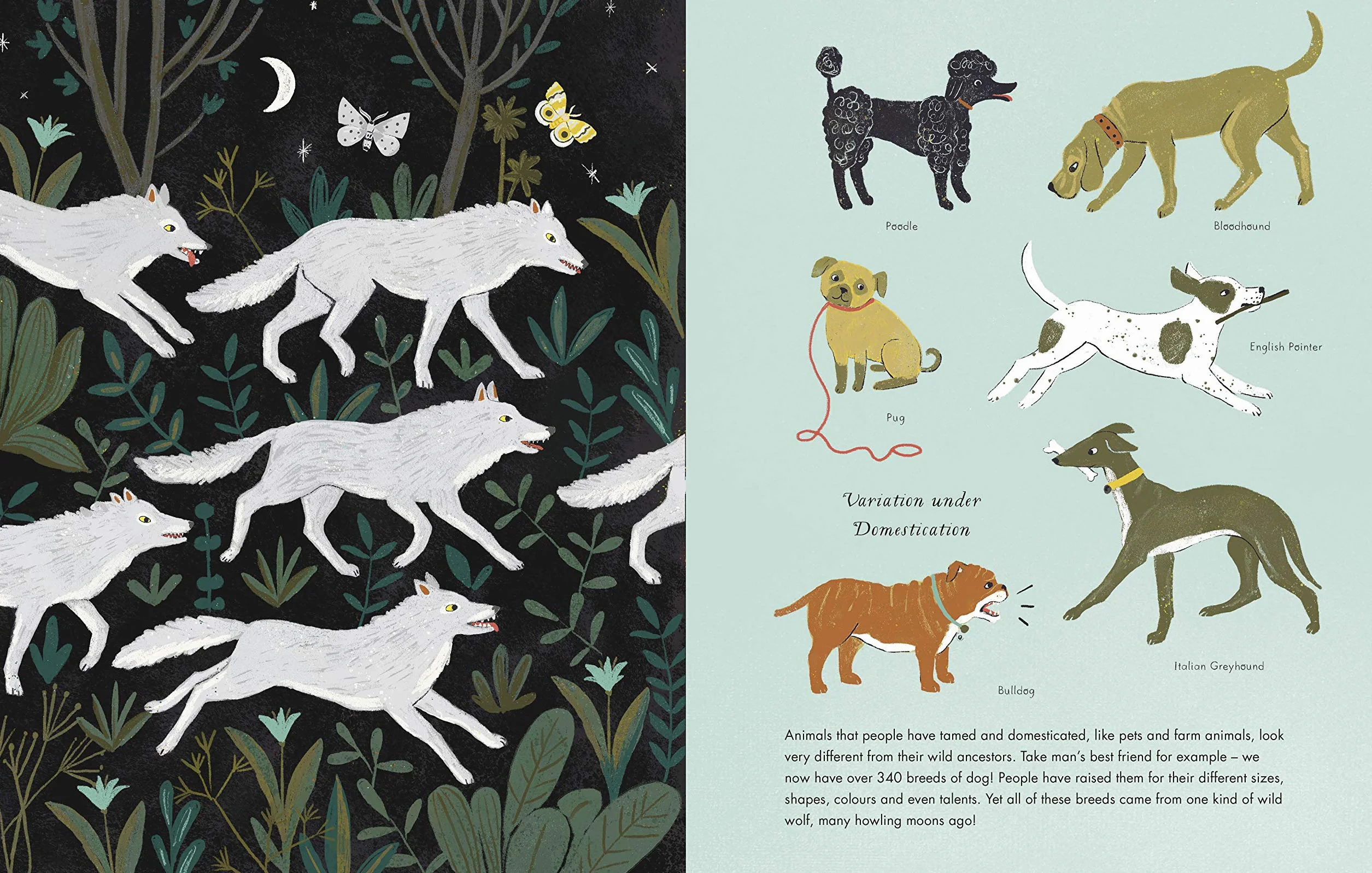 On The Origin of Species