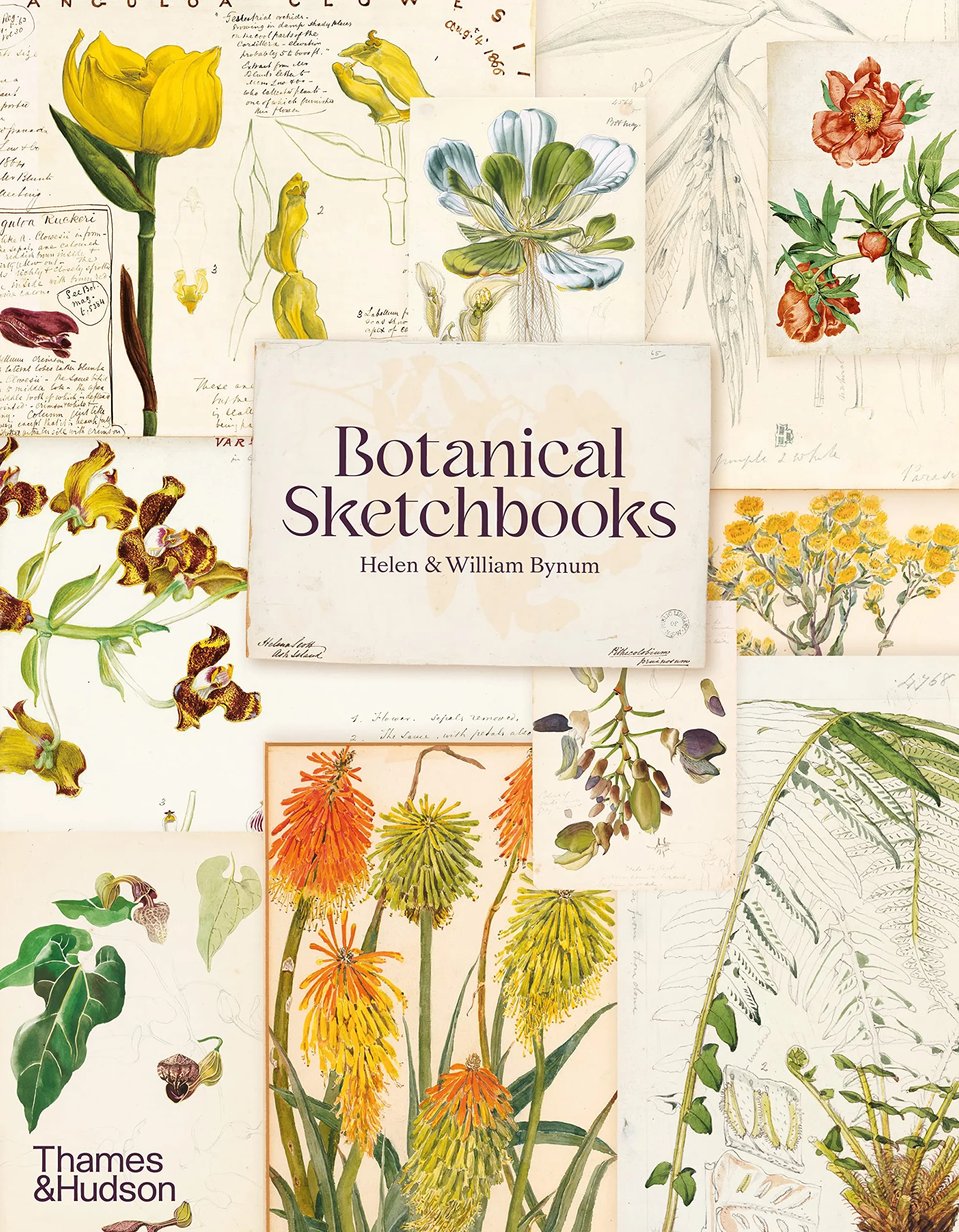 Botanical Sketchbooks (paperback) /anglais