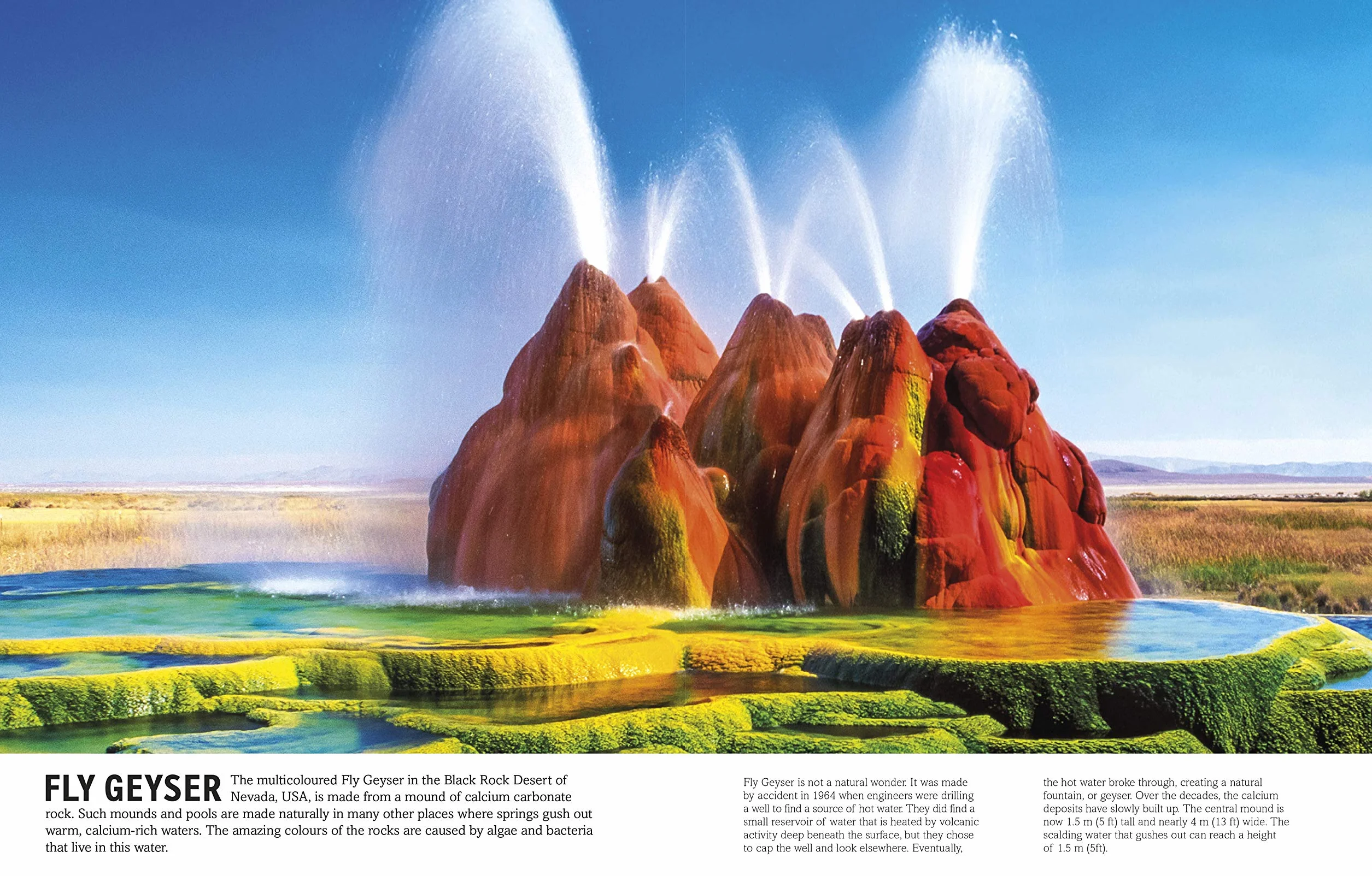 The Periodic Table Book: A Visual Encyclopedia of the Elements