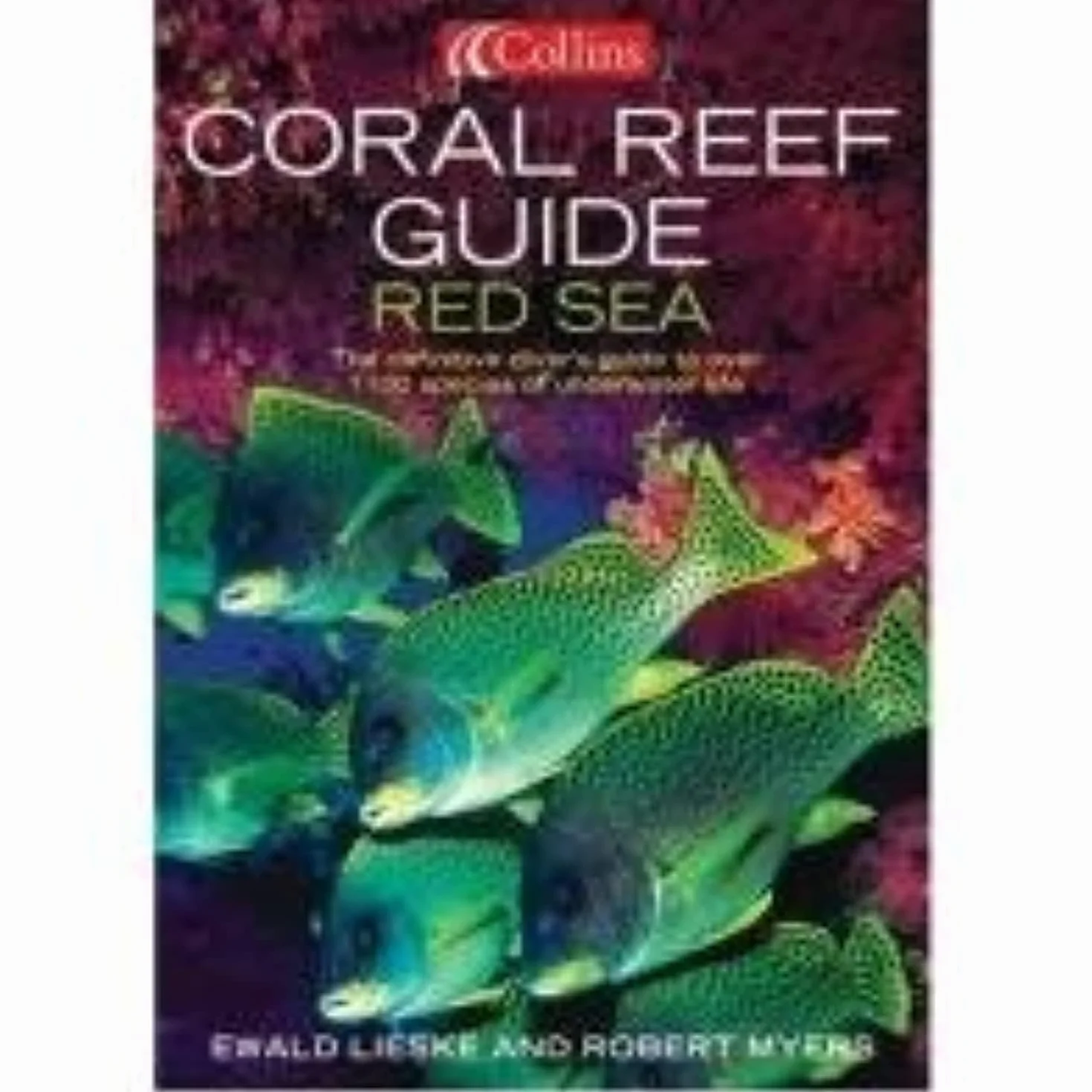 Coral Reef Guide Red Sea: The complete Red Sea marine life guide for diving and snorkelling enthusiasts