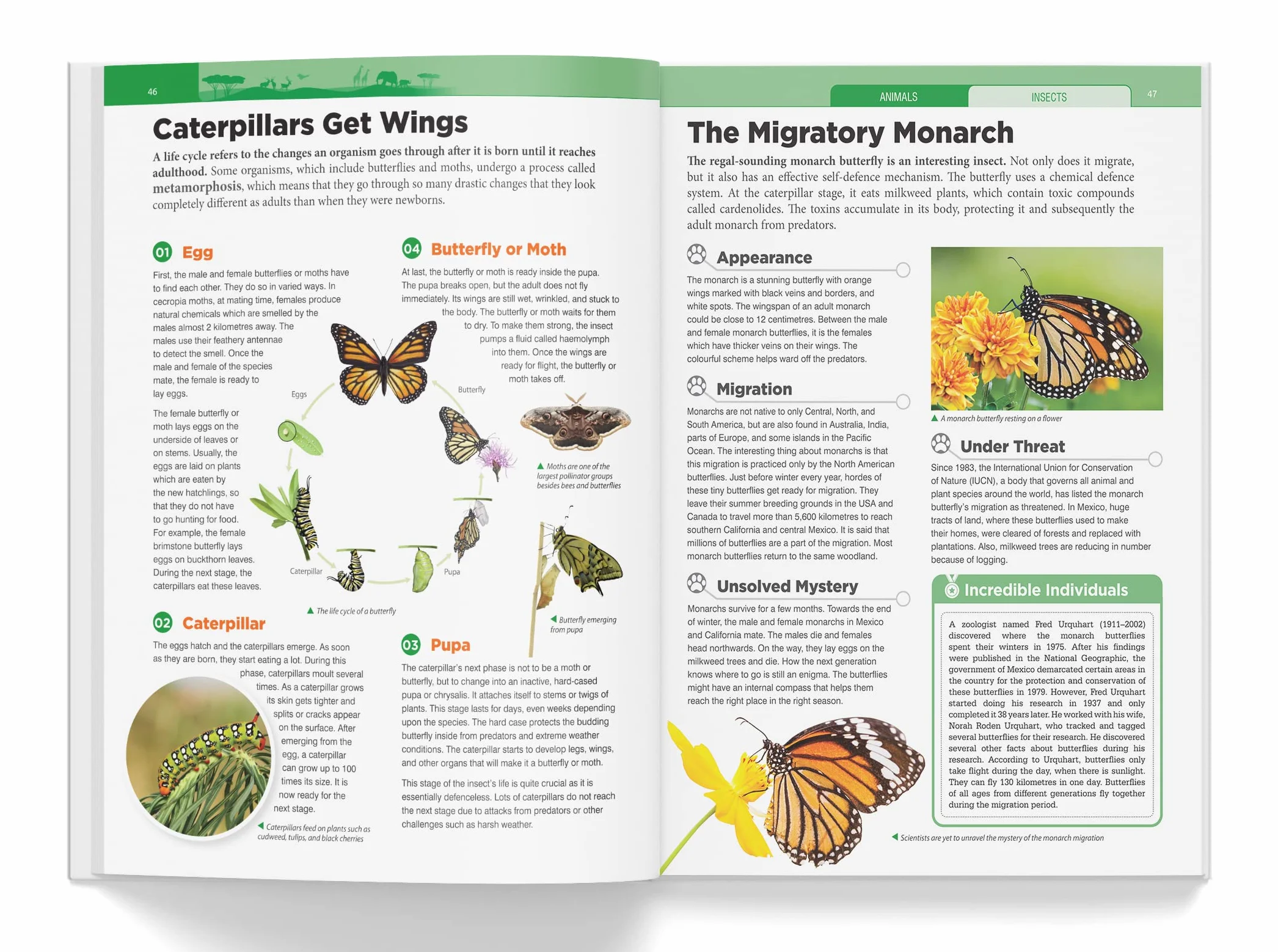 Knowledge Encyclopedia: Animals
