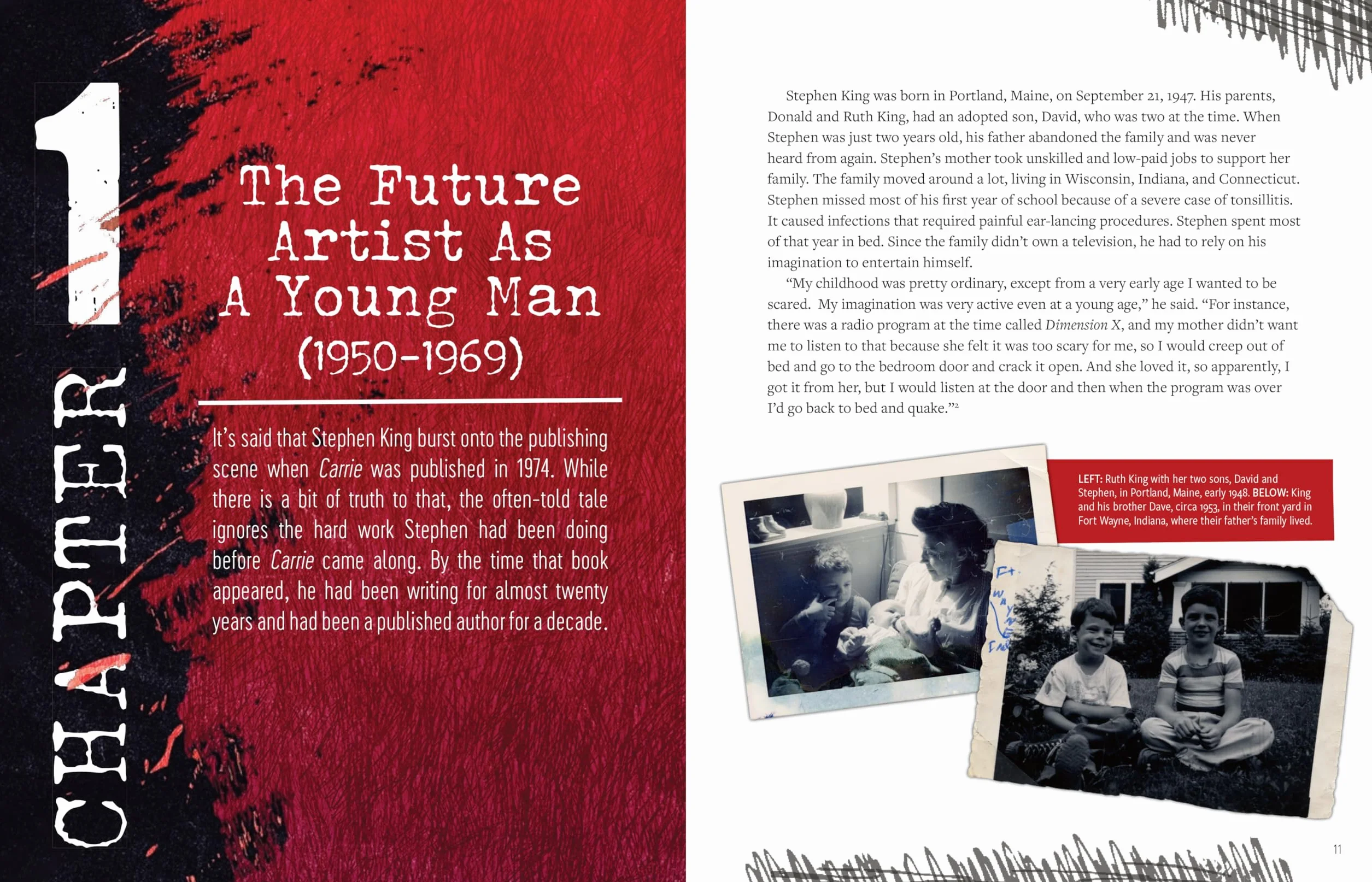 Stephen King: His Life, Work, and Influences (Young Readers' Edition)