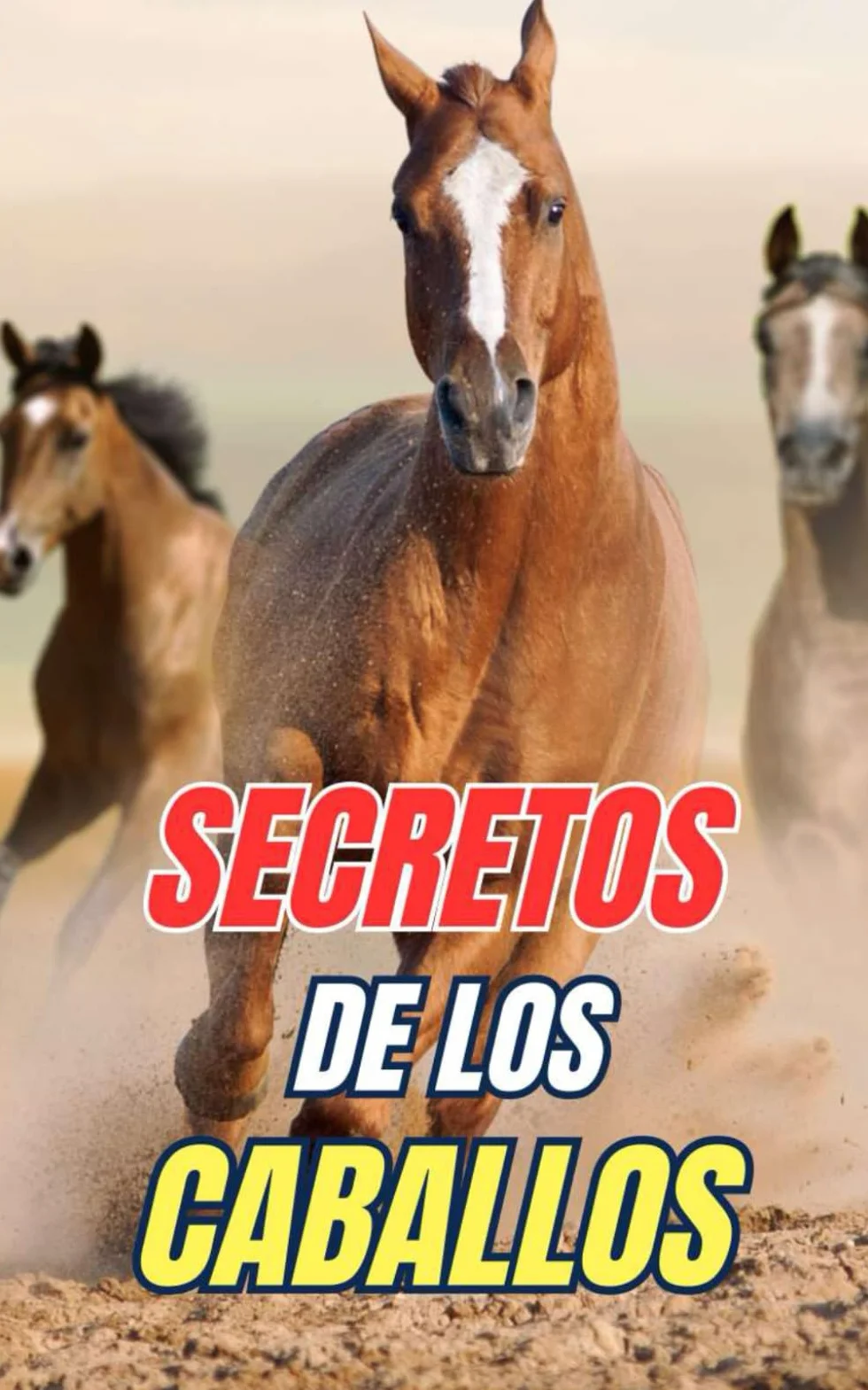 Secretos de los Caballos: Descubre los Misterios y Maravillas del Mundo Equino