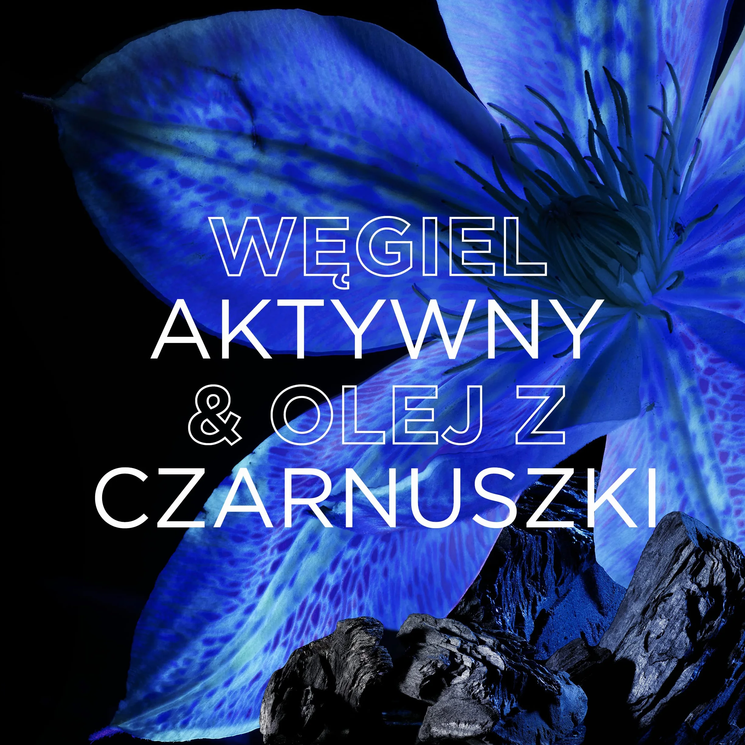 Garnier Botanic Therapy maska do włosów Węgiel Aktywny Olej z Czarnuszki 340 ml