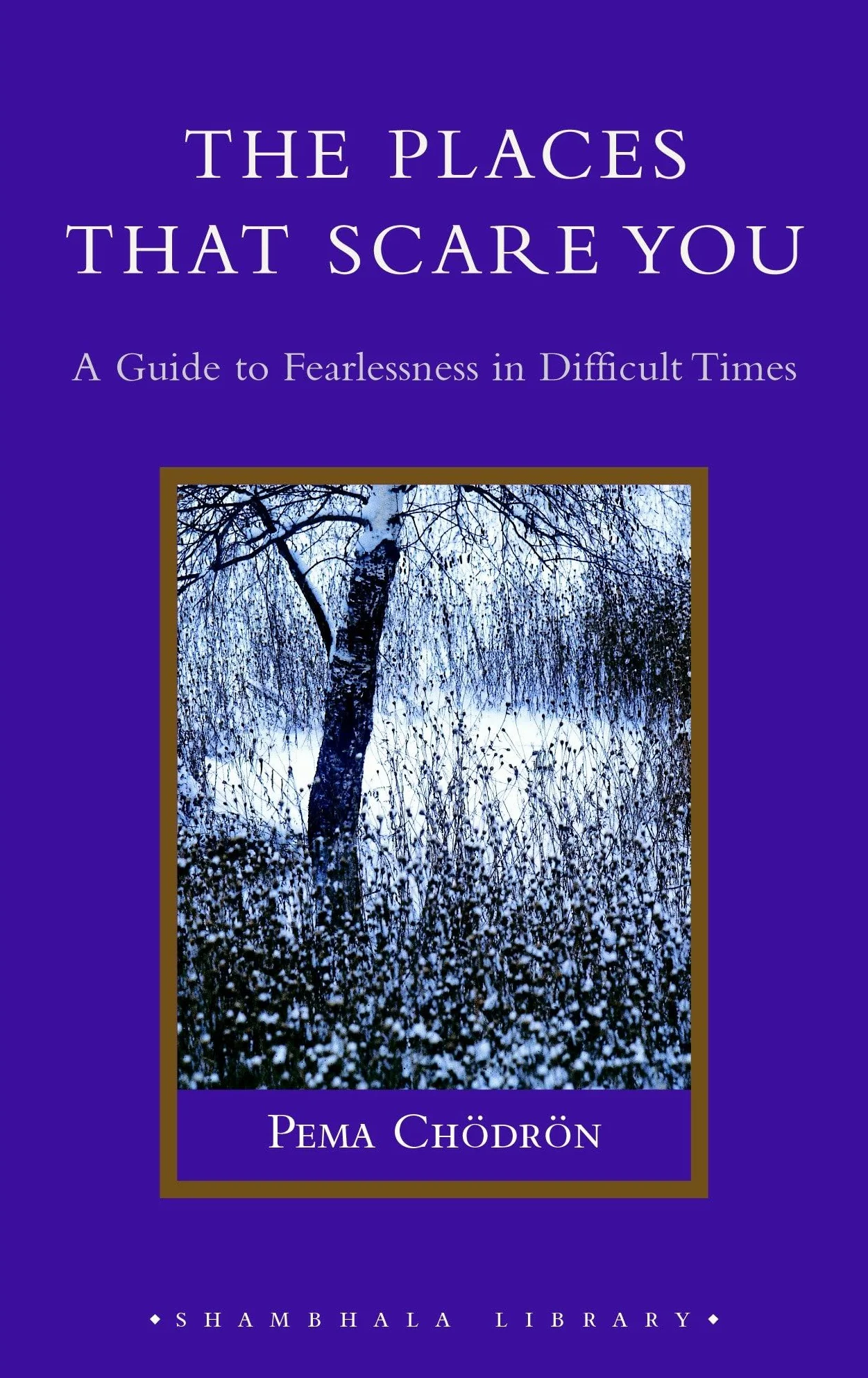 The Places That Scare You: A Guide to Fearlessness in Difficult Times