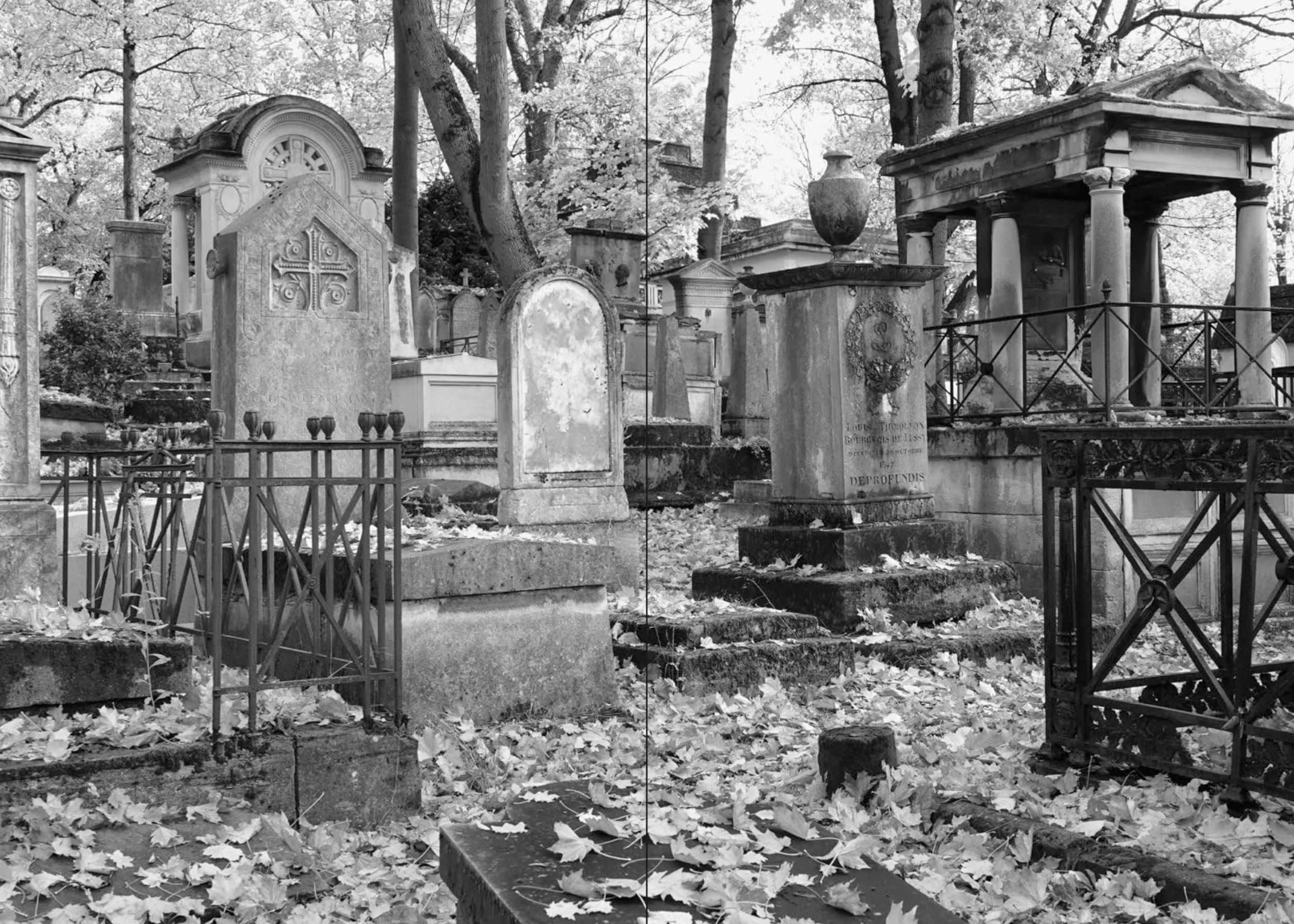 The Secret Life of a Cemetery: The Wild Nature and Enchanting Lore of Père-Lachaise