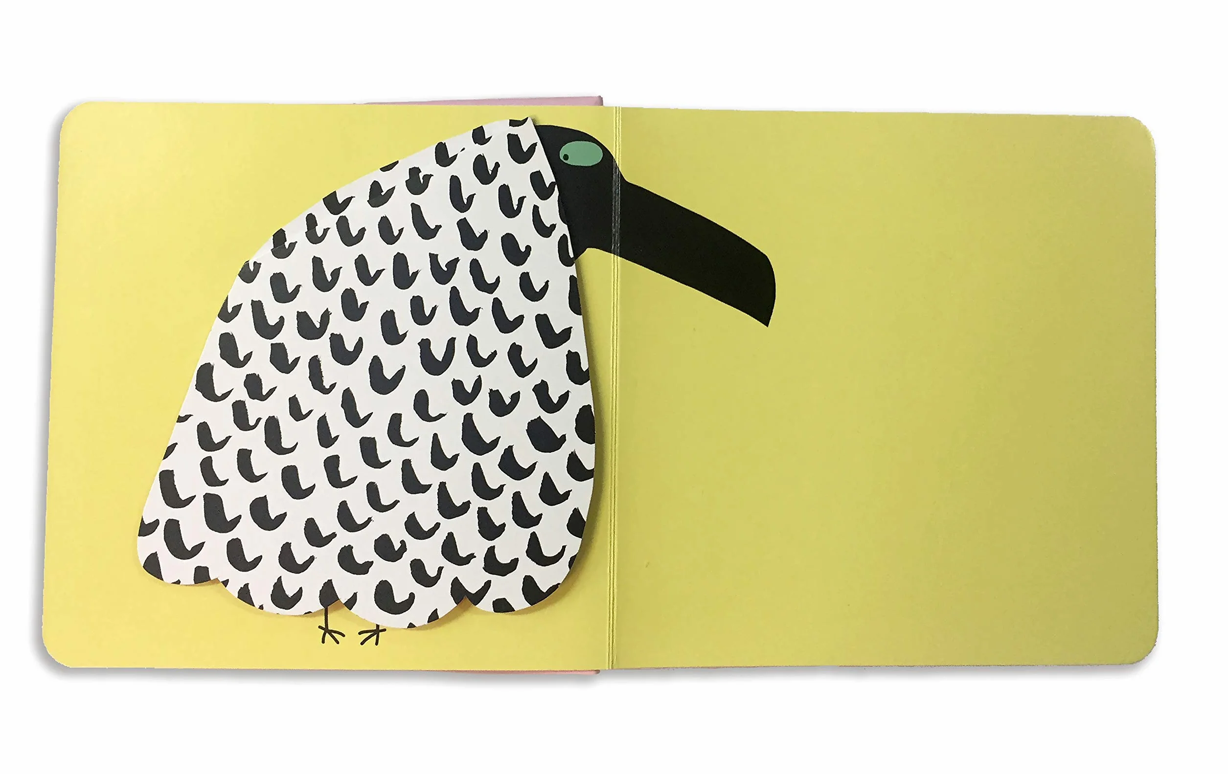 Surprising Birds: Lift-the-Flap Colours (Walker Studio)