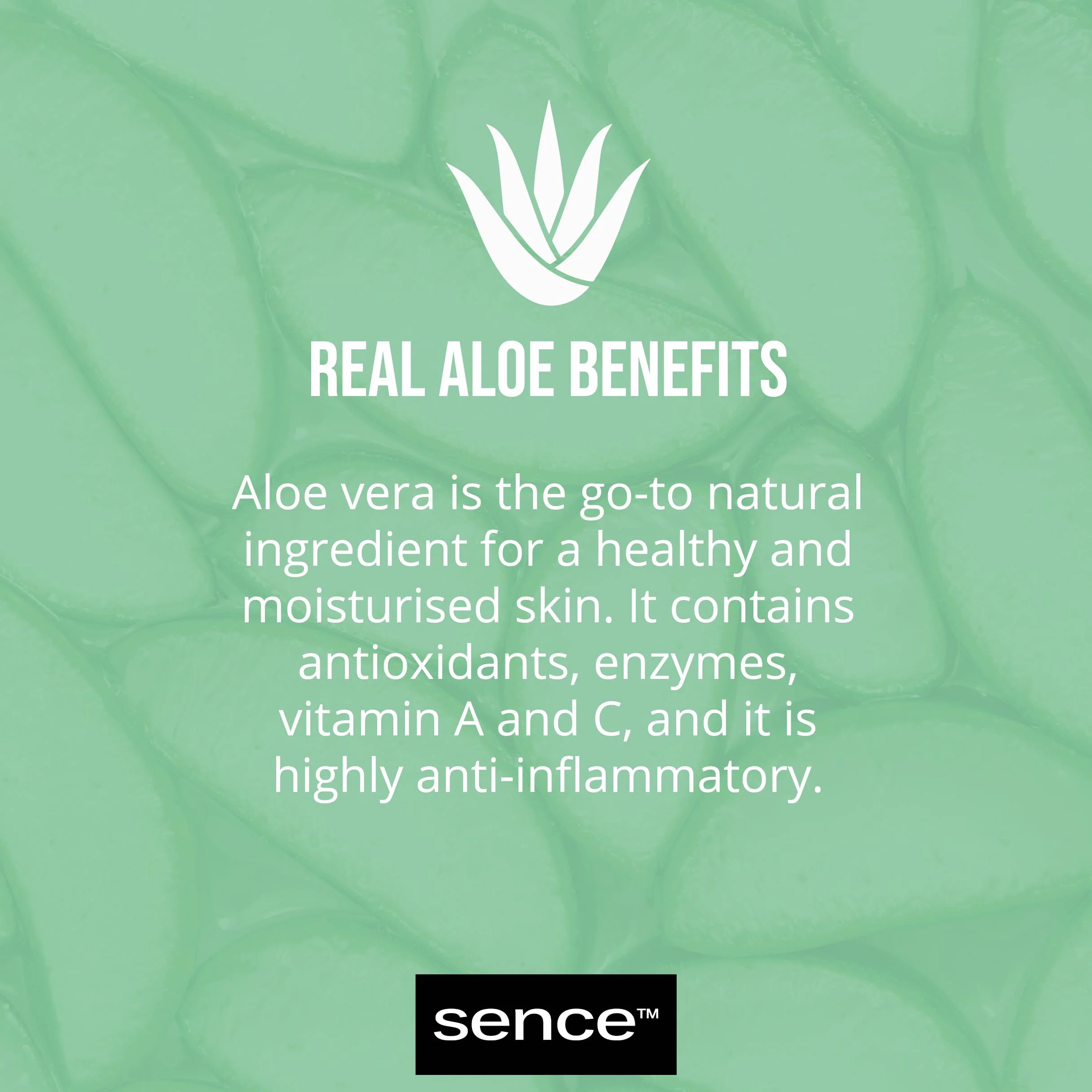Sence Aloe Vera krem do rąk, pielęgnacja na dzień z witaminą A i C, wegański krem do rąk Skincare do rąk, krem nawilżający, przeciwzapalny, krem Aloe Vera (1 x 75 ml)