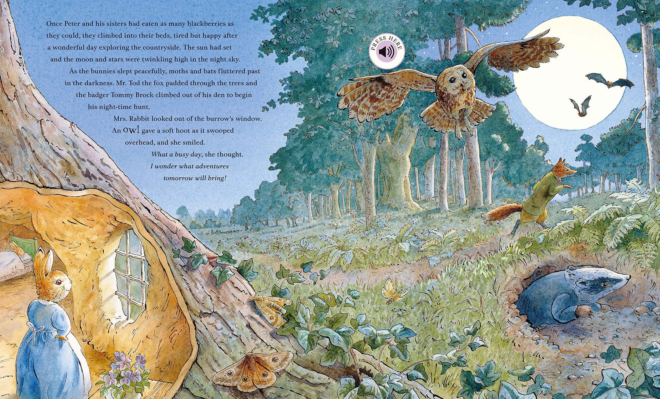 Peter Rabbit: Peter's Nature Walk: A Sound Book