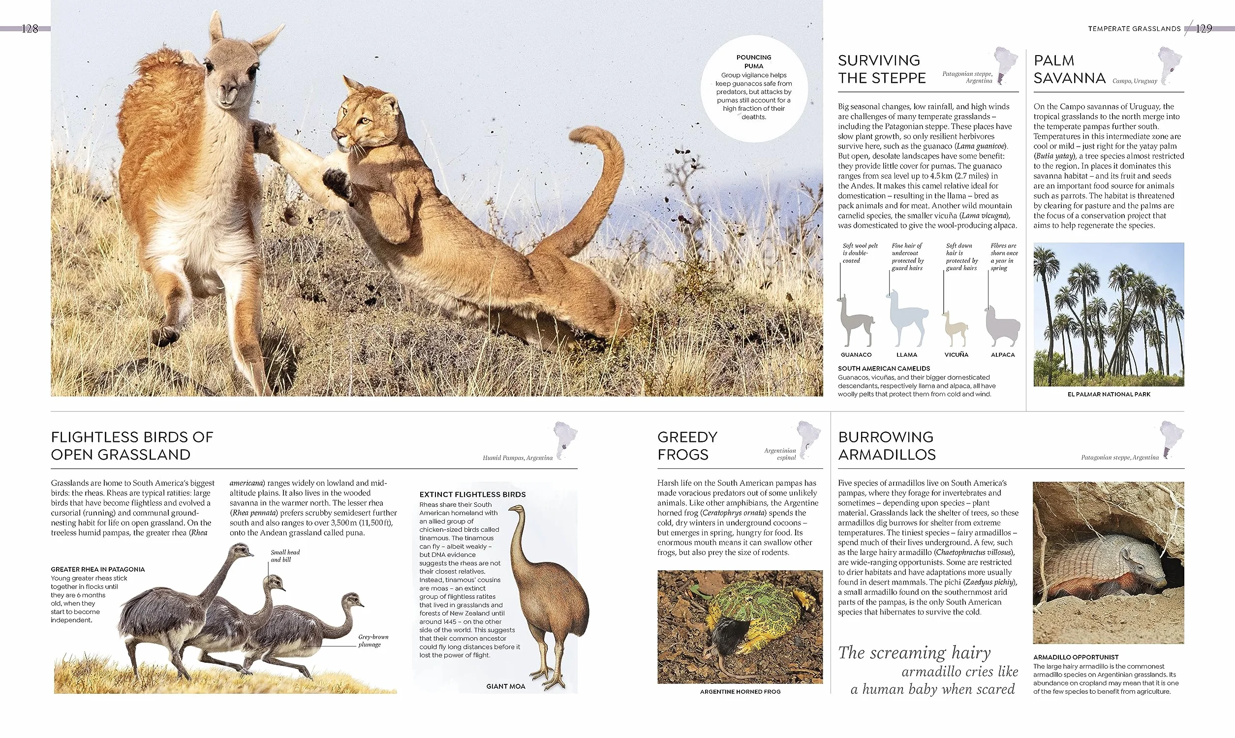 Habitats: Discover Earth's Precious Wild Places