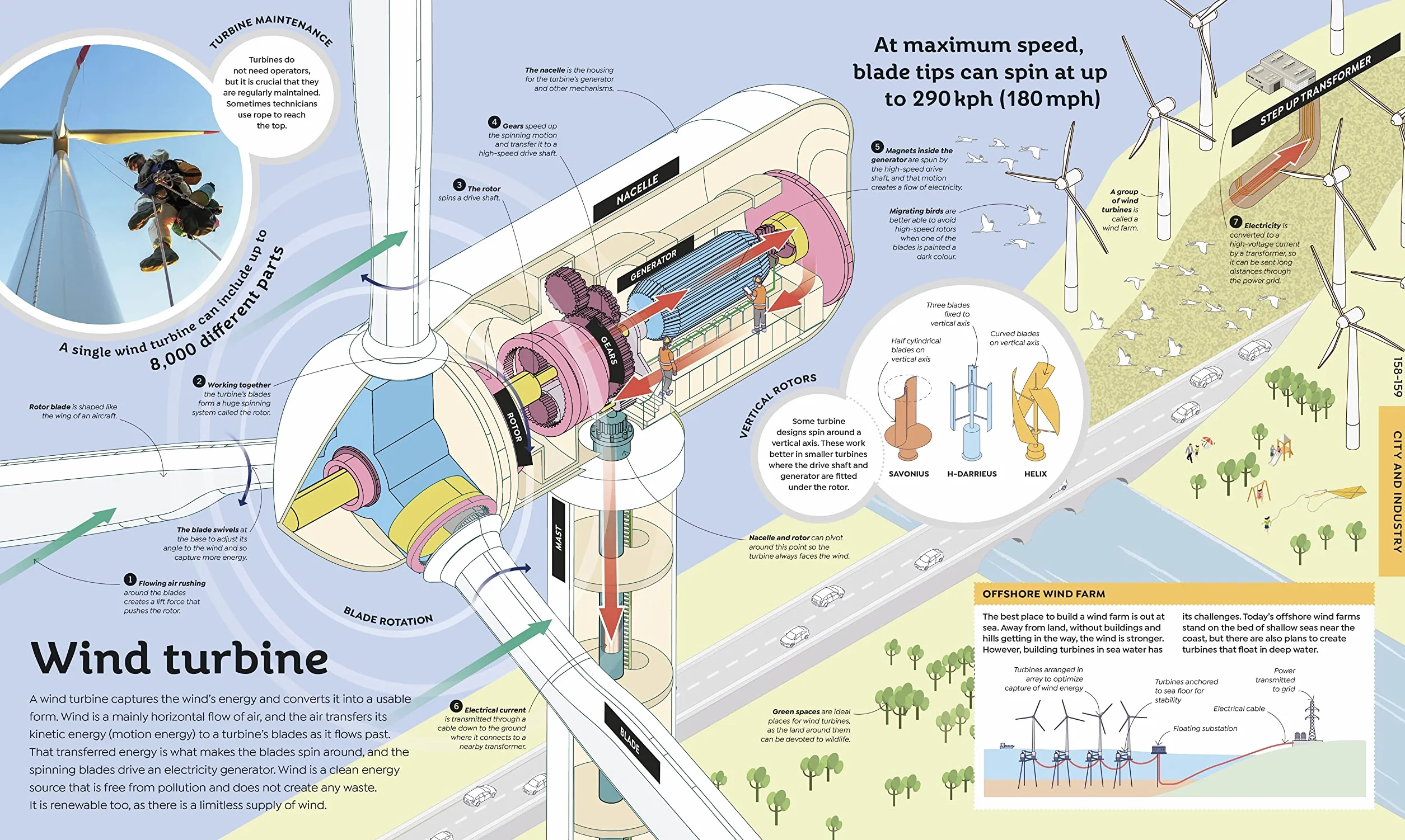 How Everything Works: From Brain Cells to Black Holes