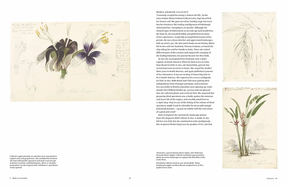 Botanical Sketchbooks (paperback) /anglais