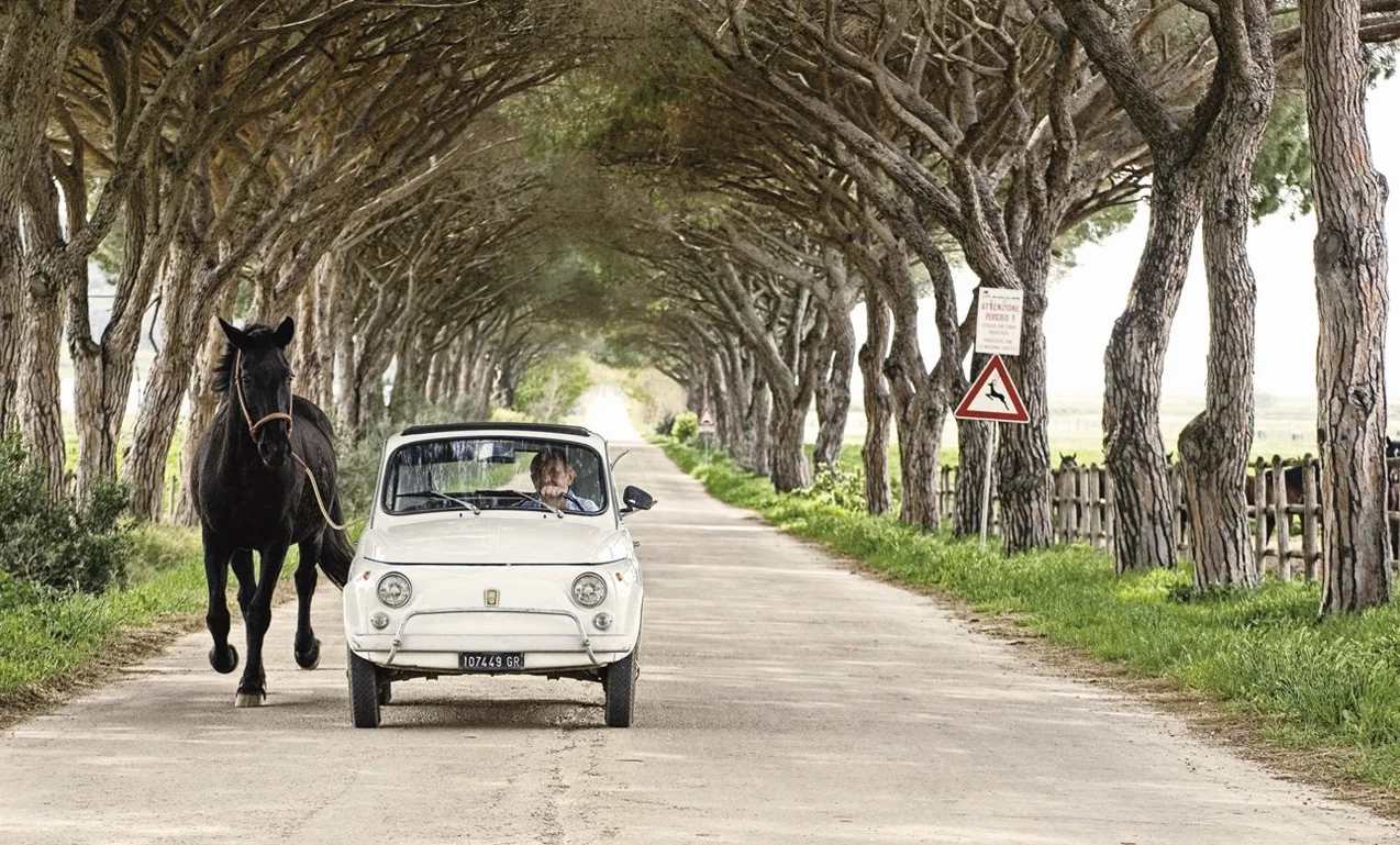 Toscana in Cucina: The Flavours of Tuscany
