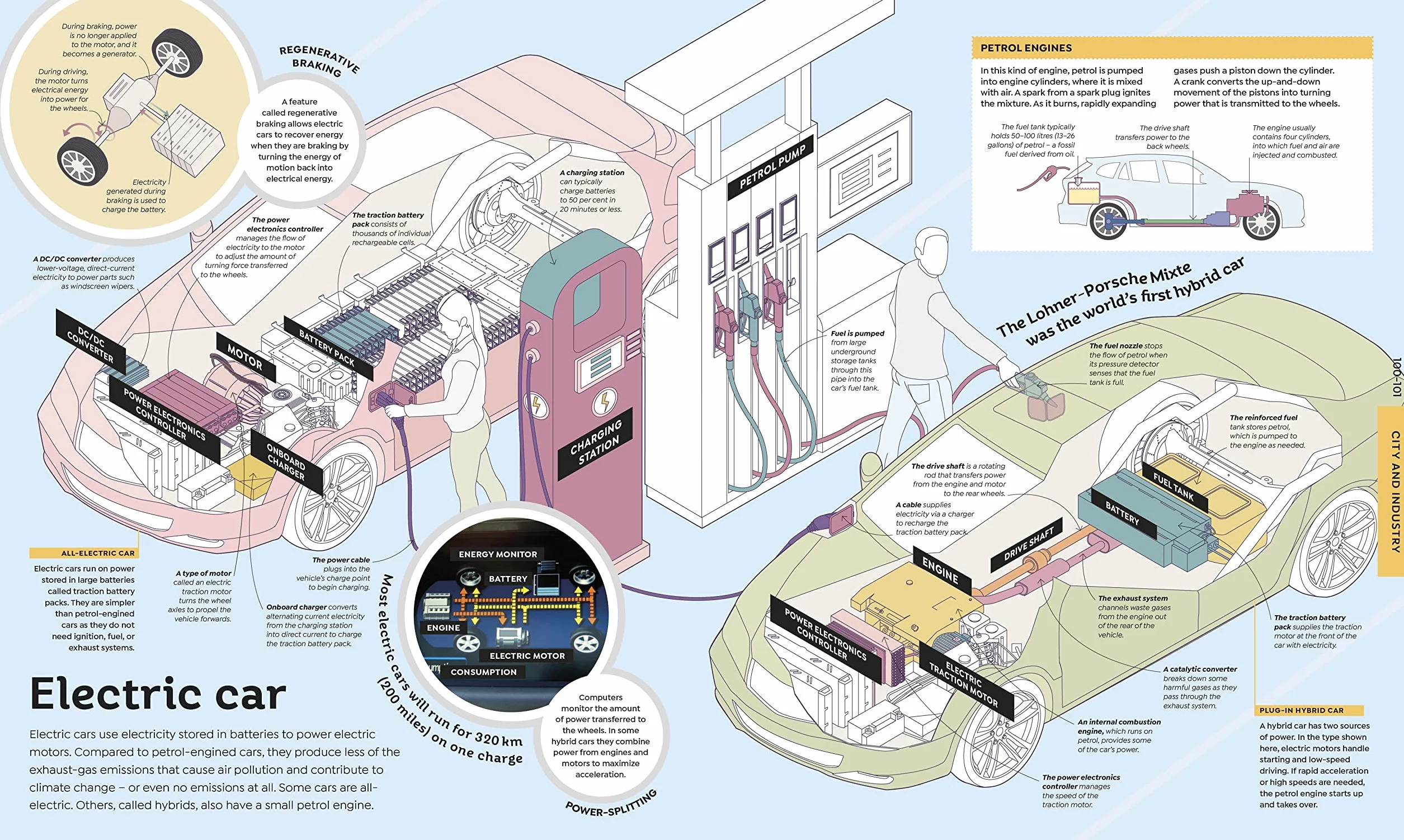 How Everything Works: From Brain Cells to Black Holes