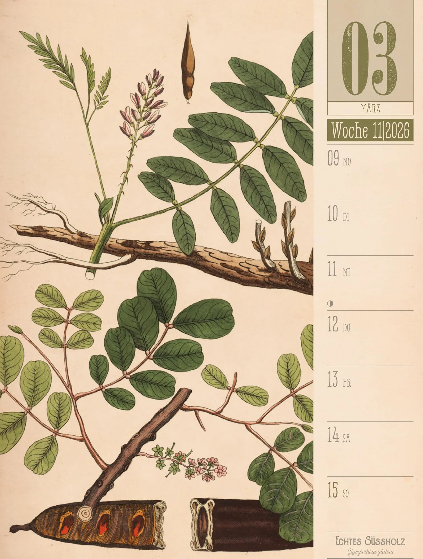 Culinarium Wochenplaner Kalender 2026 | Küche, Kräuter, Kurioses: Informativer Küchen-Wochenkalender im Hochformat (25x33 cm) | Vintage & Retro