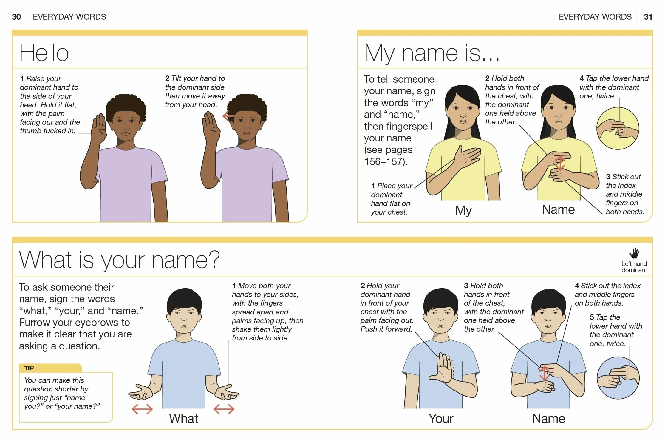 Pocket Genius American Sign Language: 200 Essential Words and Phrases