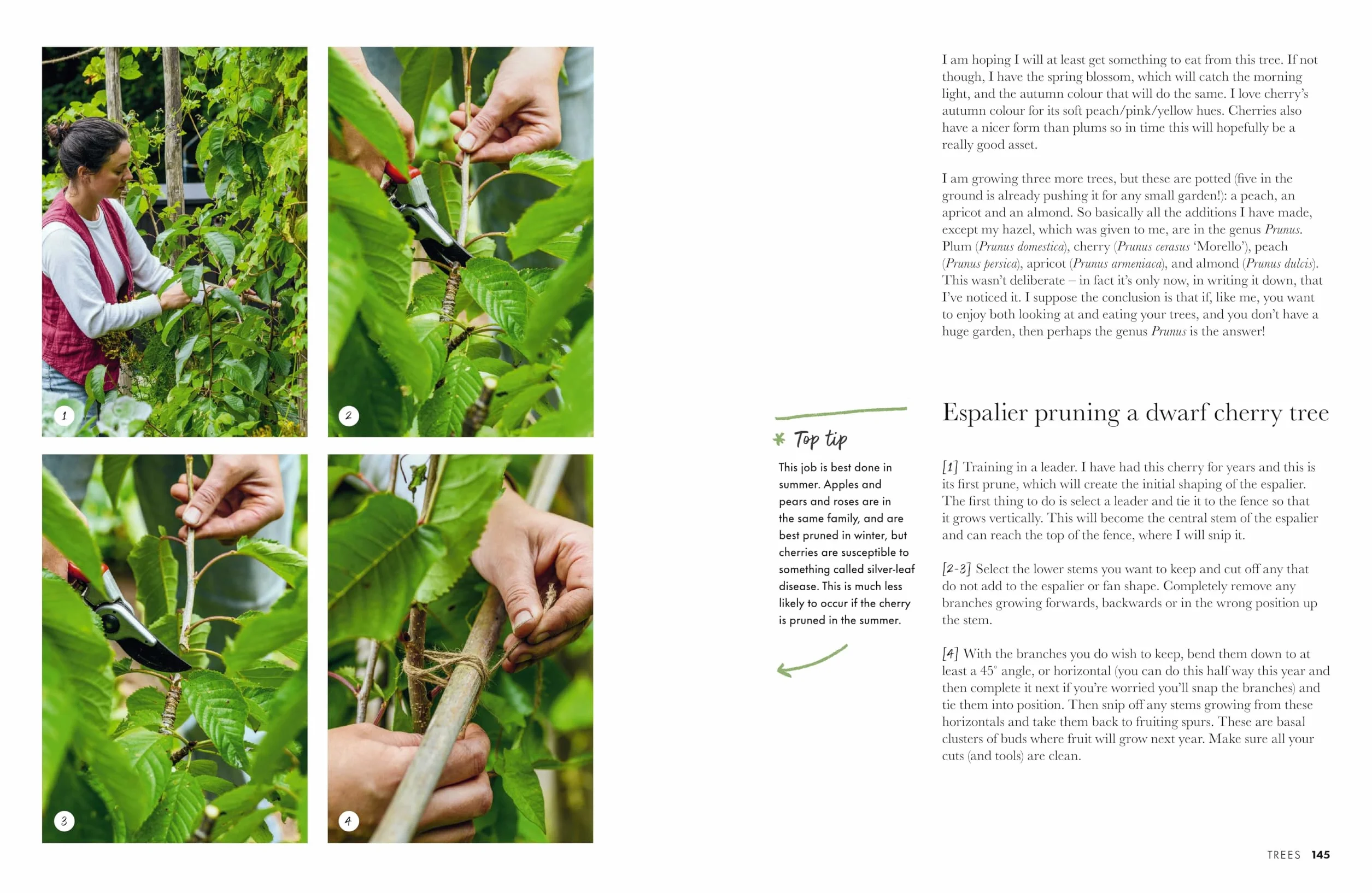 Gardeners' World: A Year in a Small Garden: Creating a Beautiful Garden in Any Space